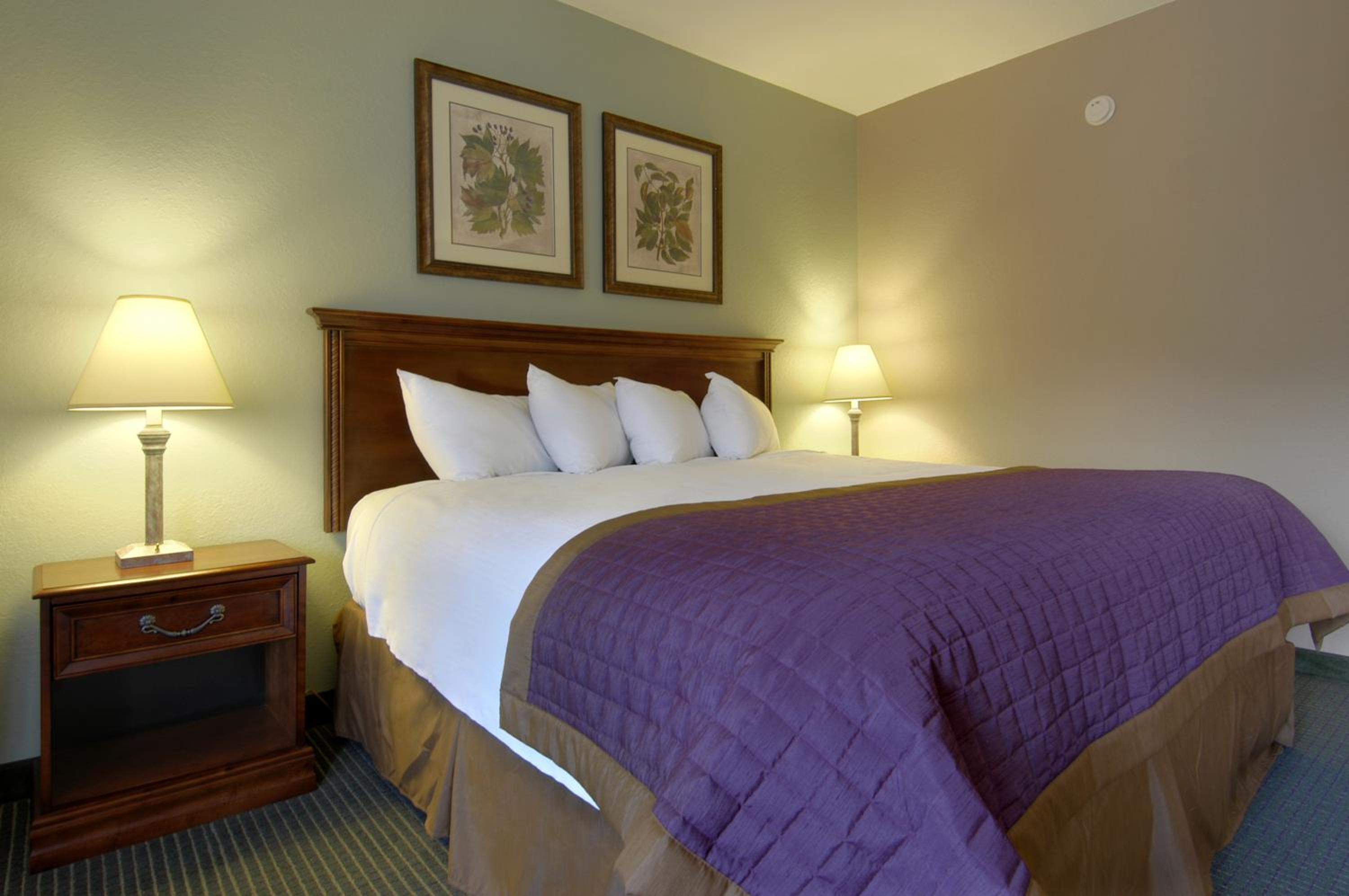 King Room - Non-Smoking - Photo 12