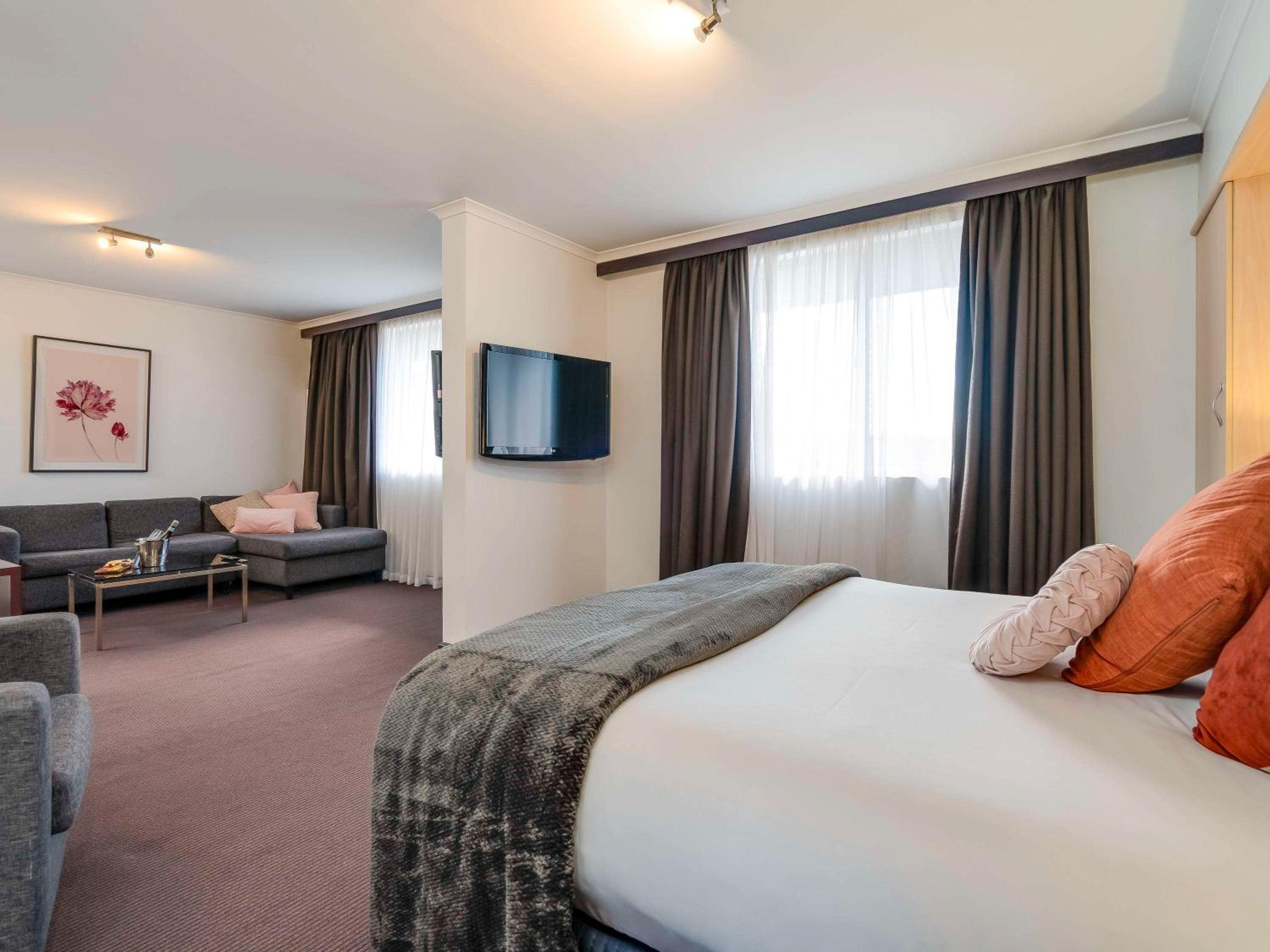 Deluxe King Suite - Photo 10