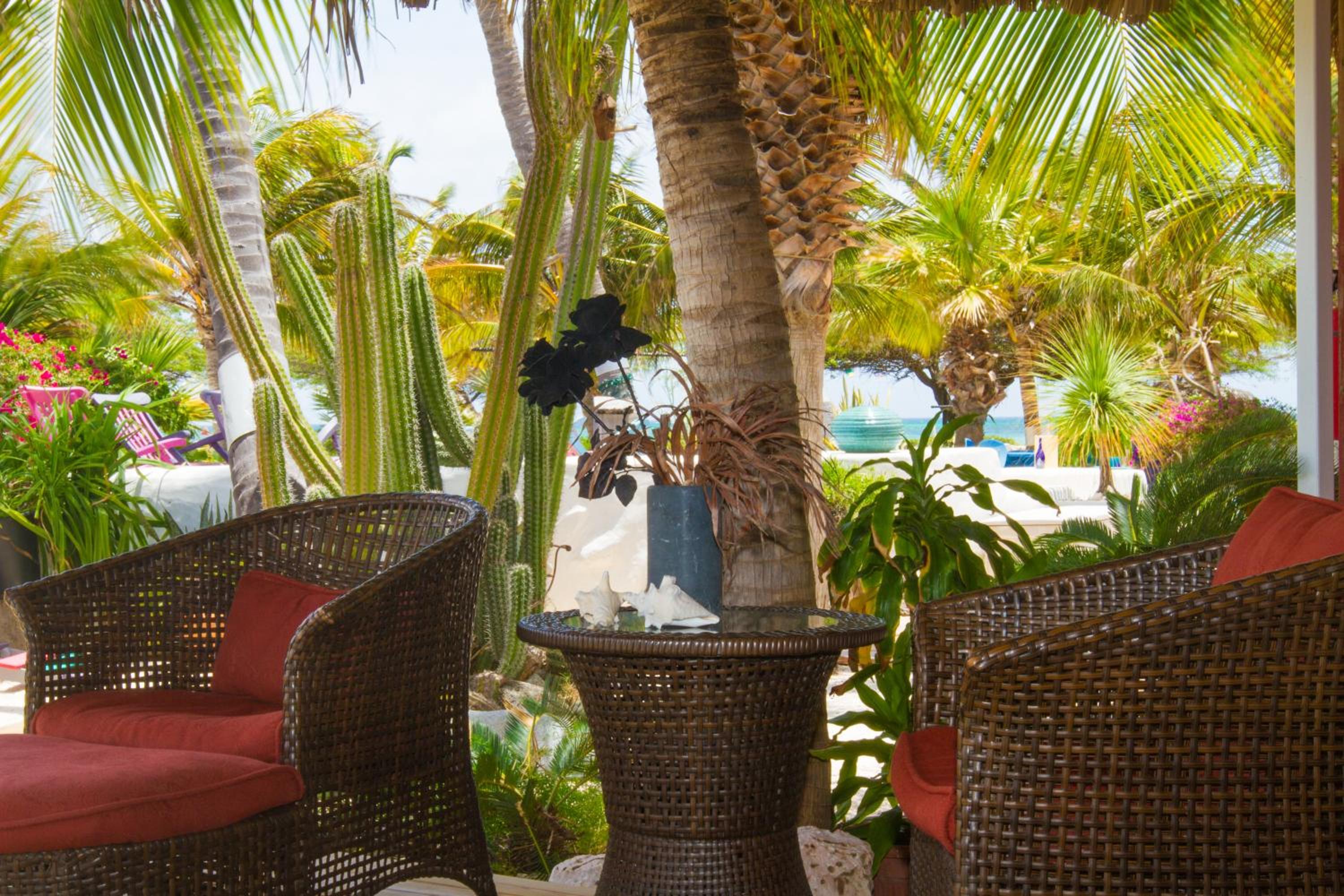 One-Bedroom Apartment with Ocean View photo 3