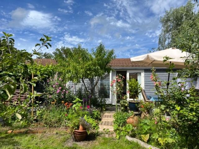 Bungalow with Garden View photo 1