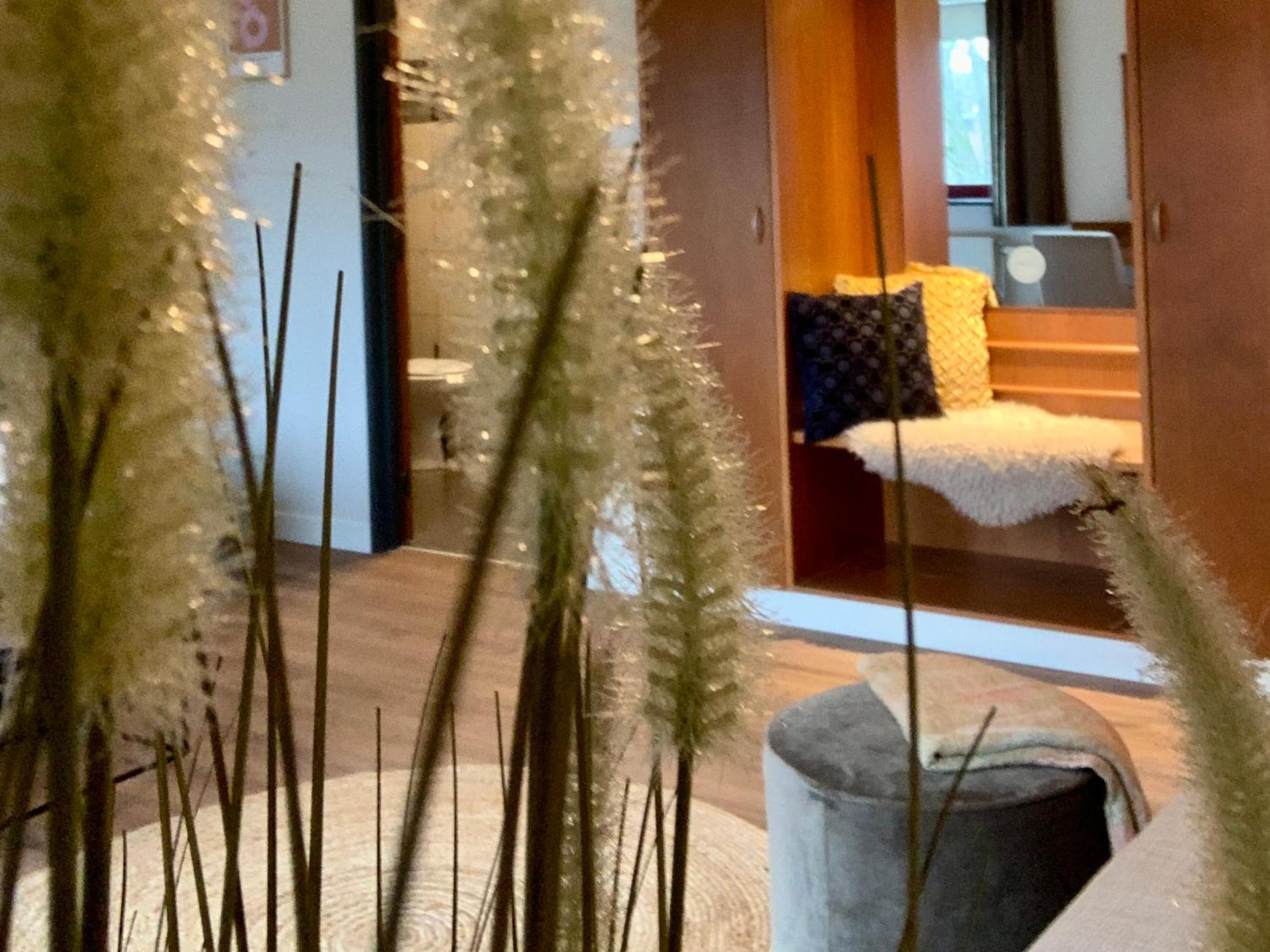 King Room with Garden View photo 3