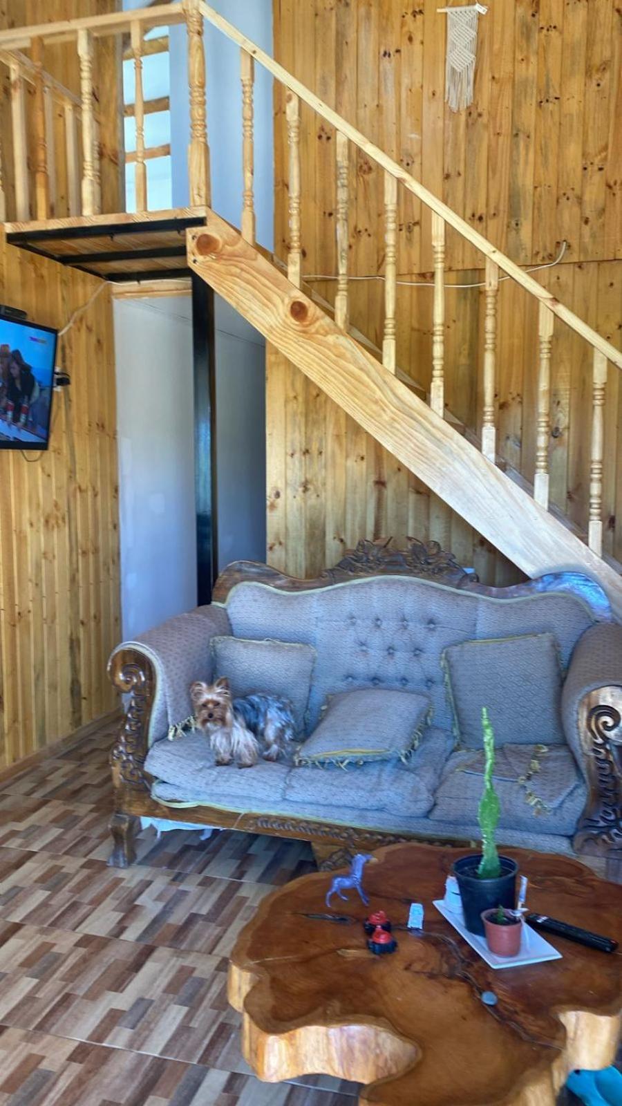 One-Bedroom House photo 1