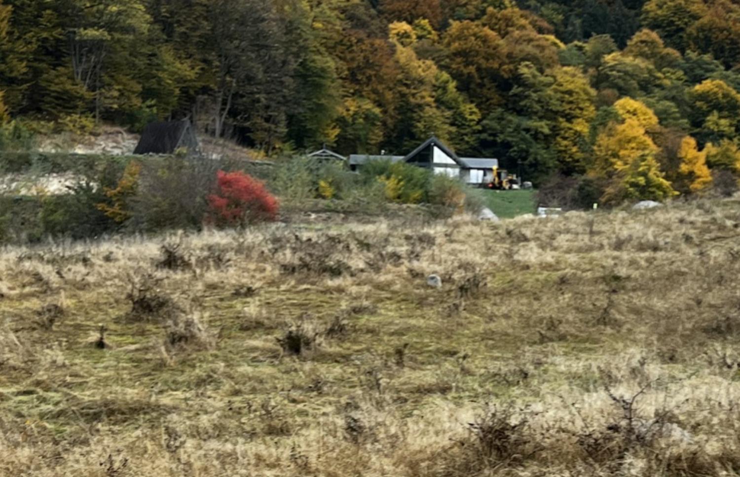 Villa photo 3