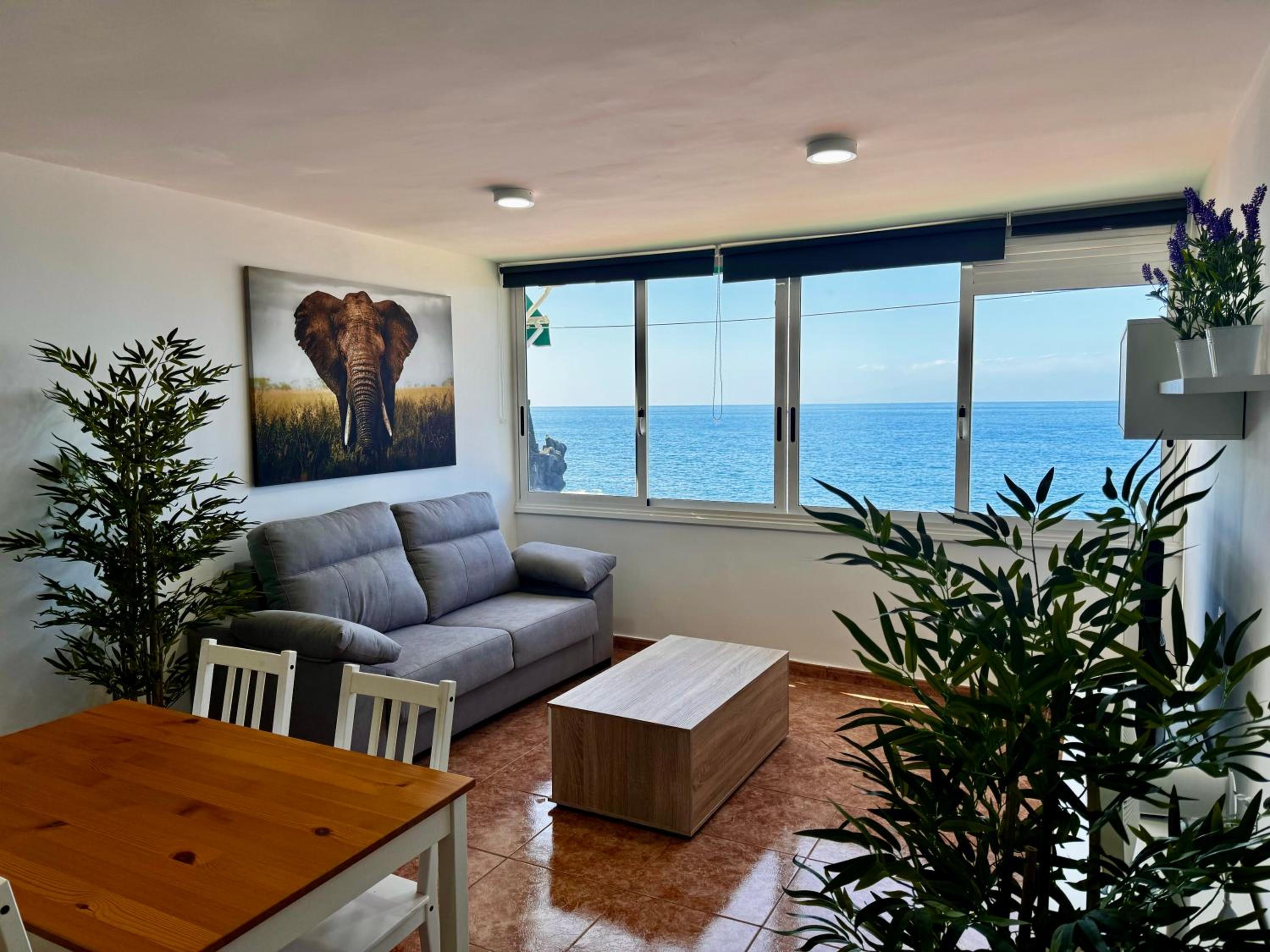 Apartamento de una habitación