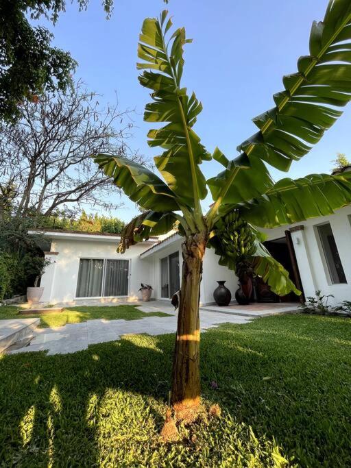 Four-Bedroom House photo 3