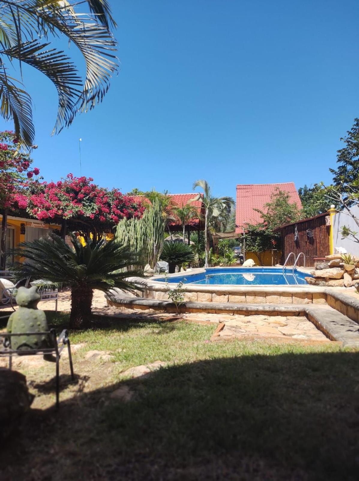 Double Room with Pool View photo 2