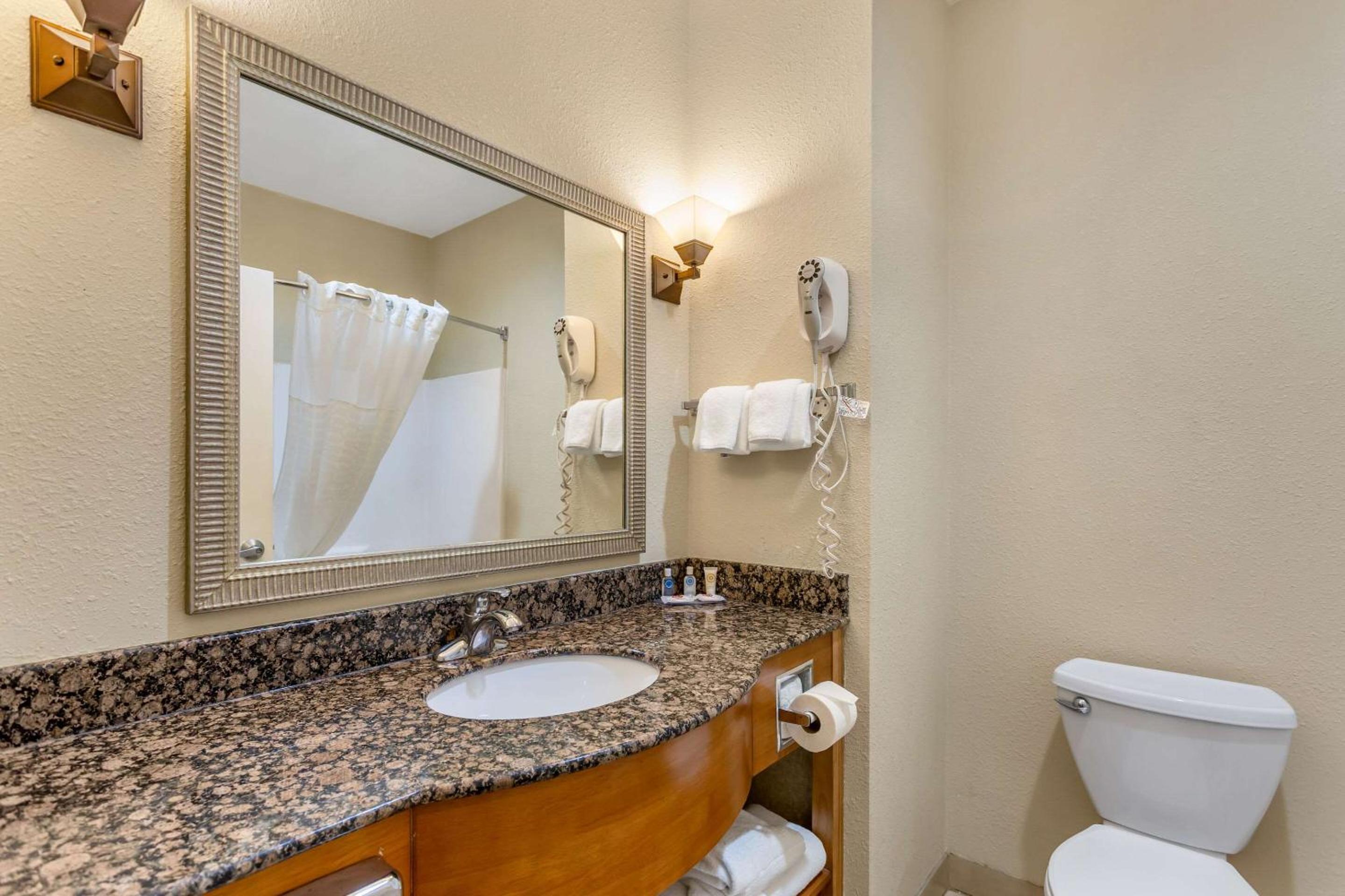 King Suite - Non-Smoking - Photo 5