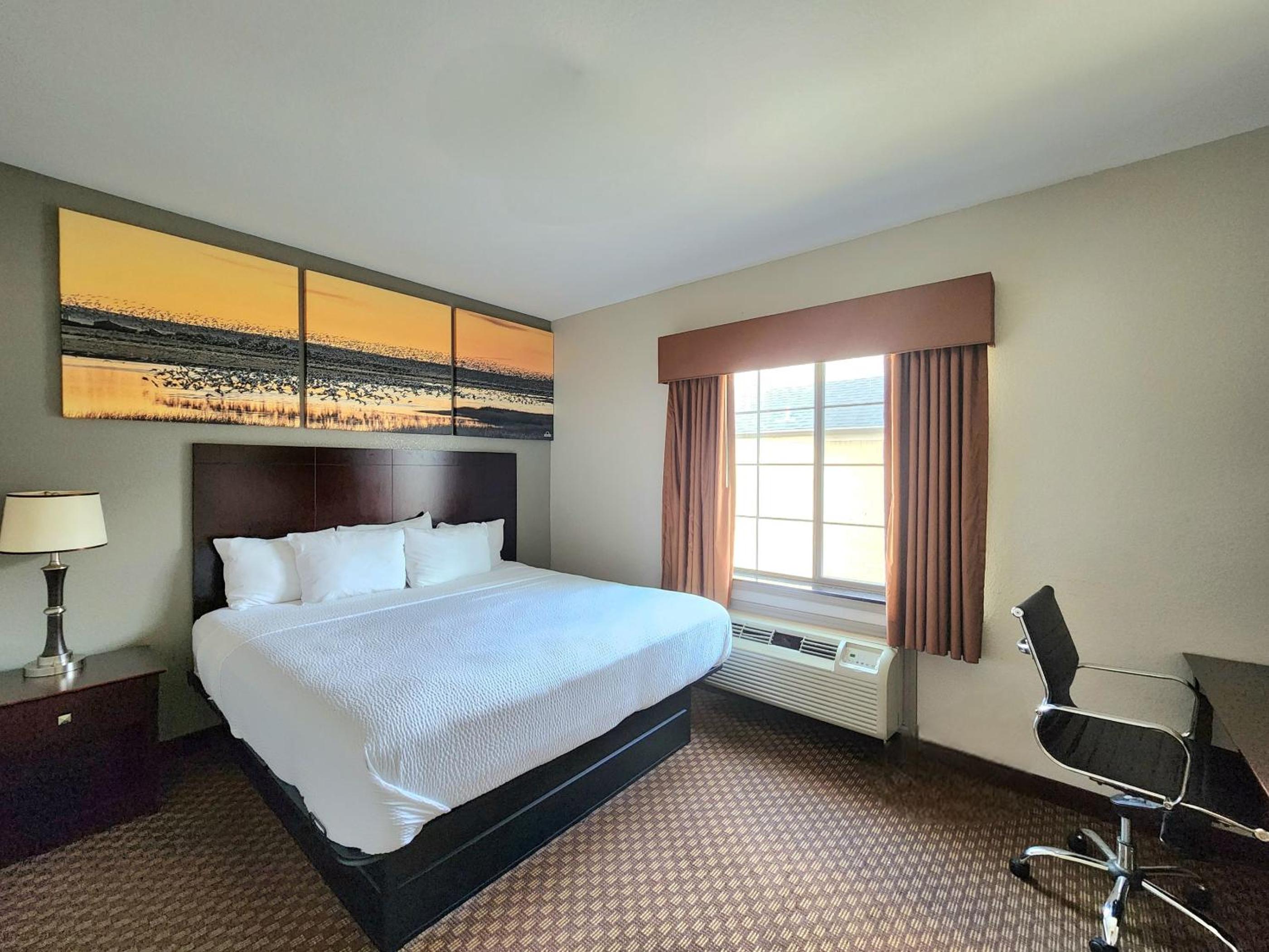 King Room - Non-Smoking - Photo 2