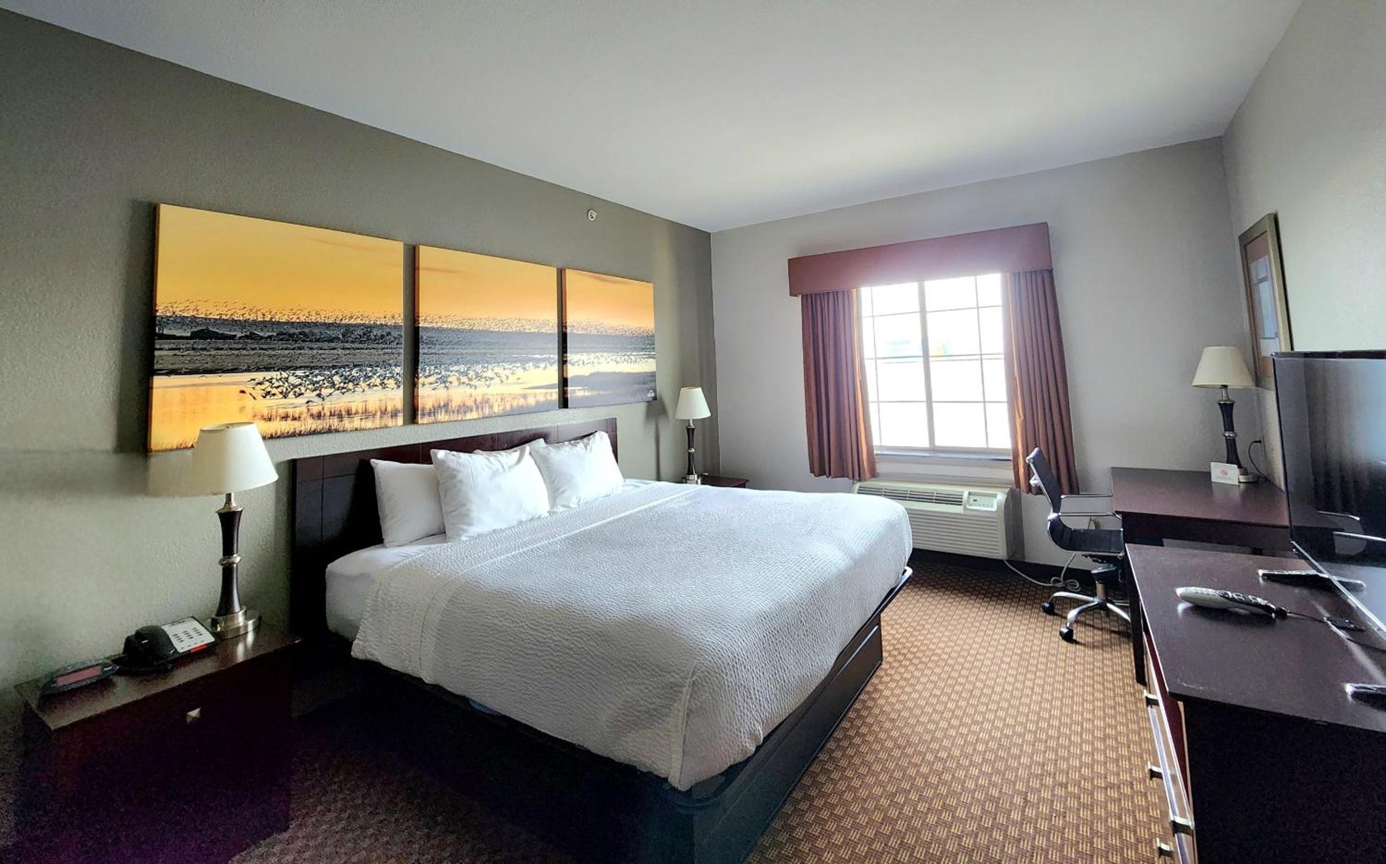 King Room - Non-Smoking - Photo 8