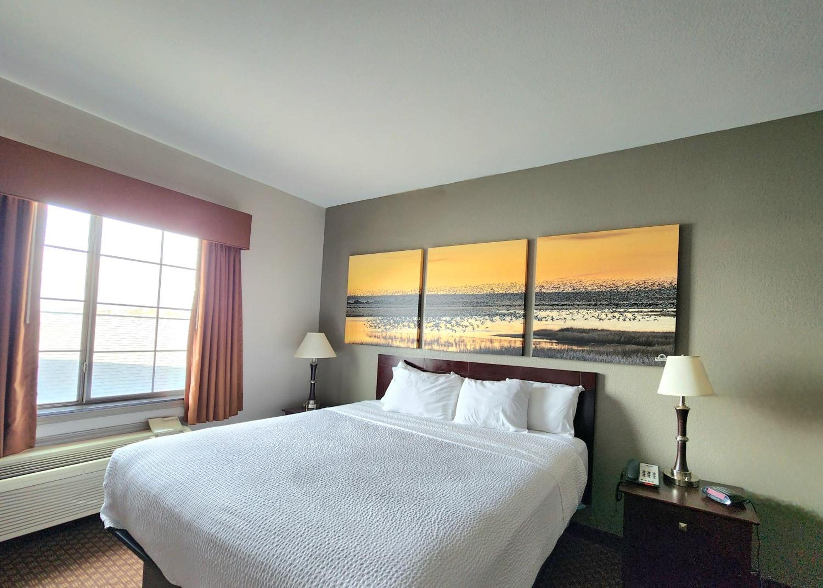 King Room - Non-Smoking - Photo 9