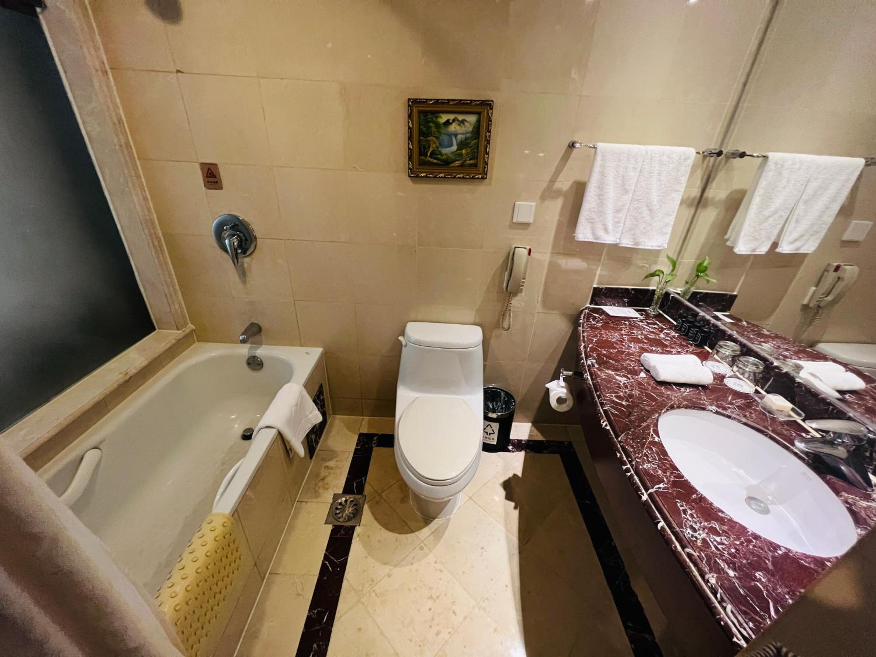 Classic Suite(30% Discount In Chinese Restaurant Except Drinks) thumbnail 6