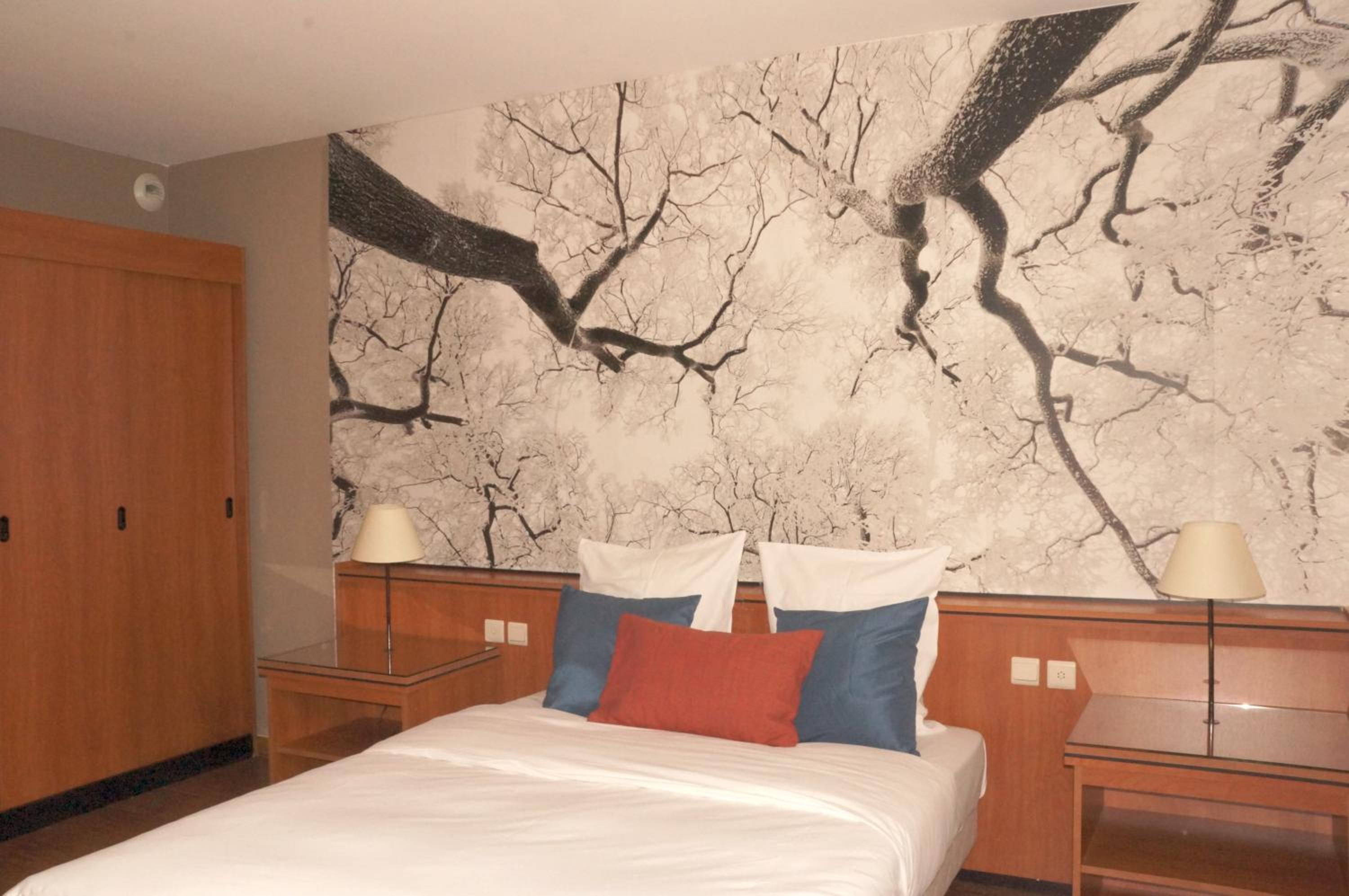 Large Single Room photo 1