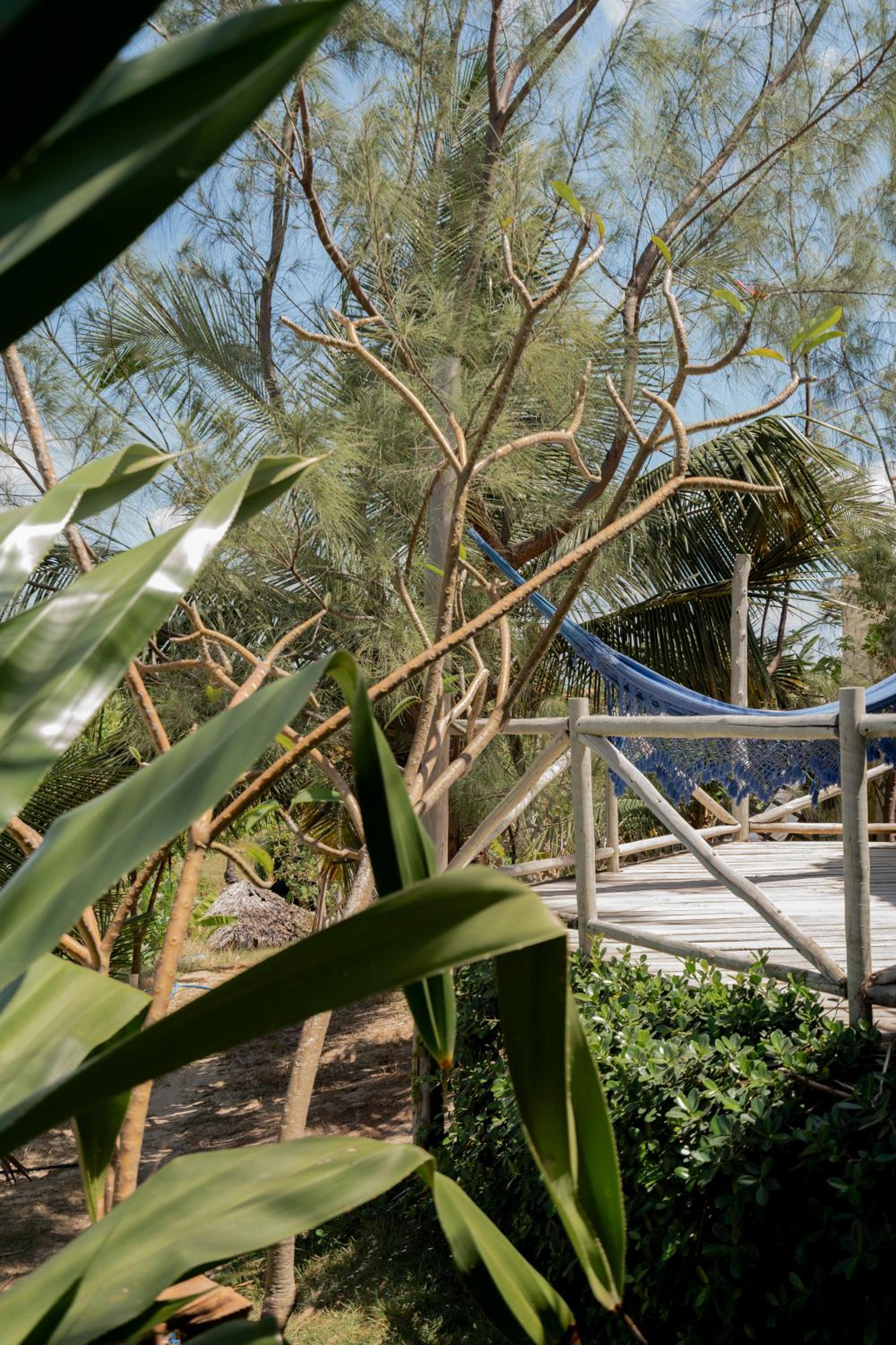 Garden - Room 1 photo 3
