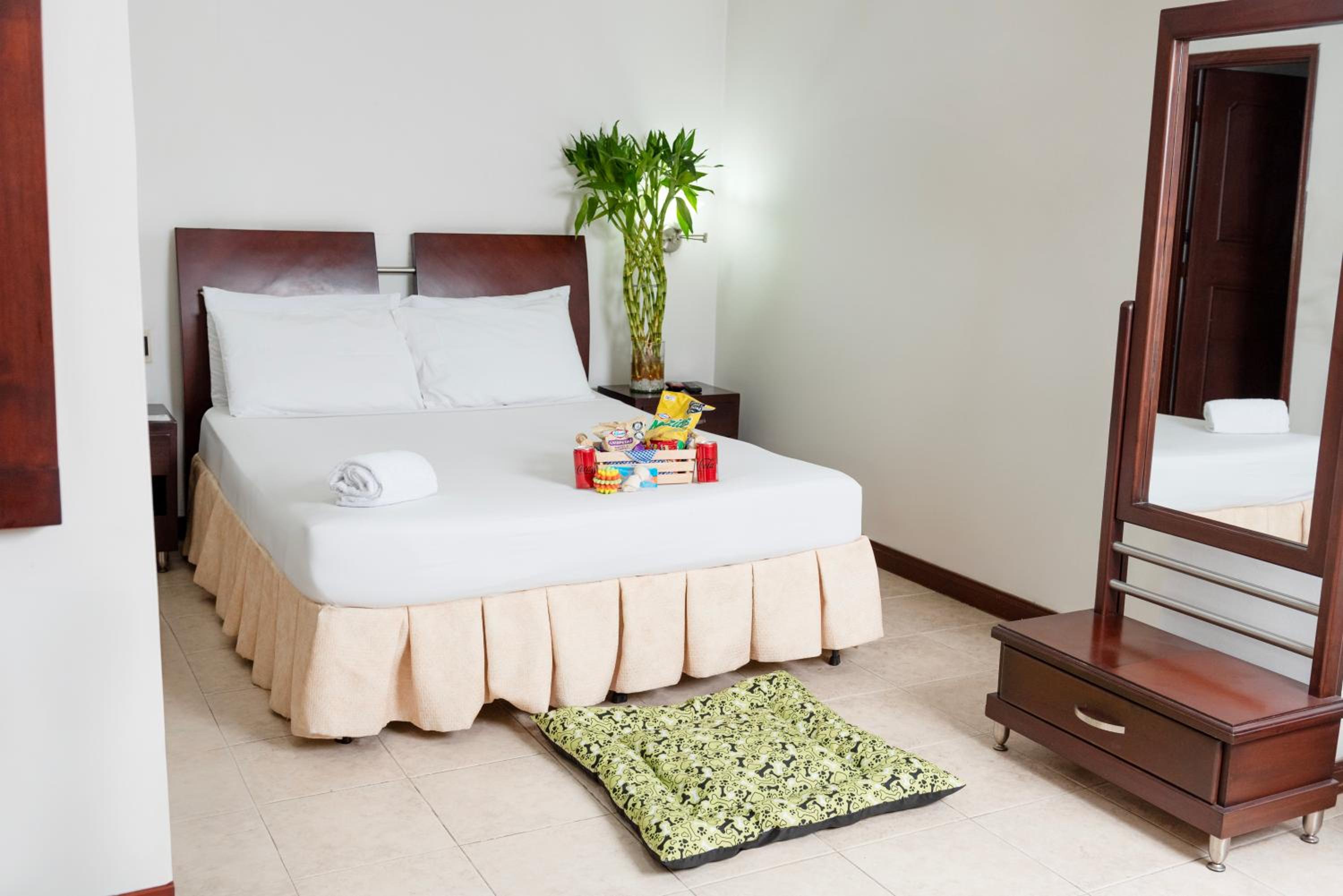 Twin Room photo 1