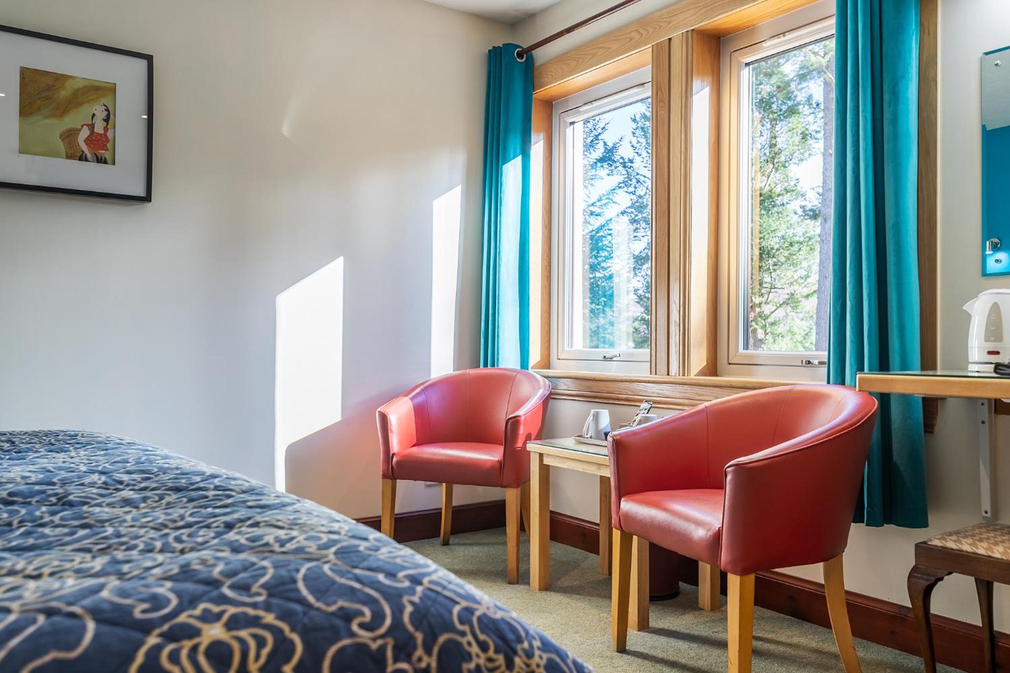 King Room - Disability Access photo 2