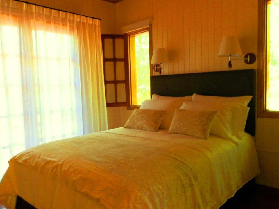 Deluxe Double or Twin Room photo 1