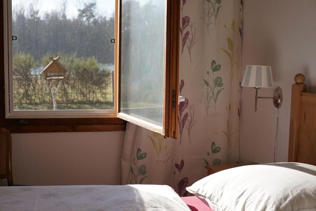 One-Bedroom House photo 2