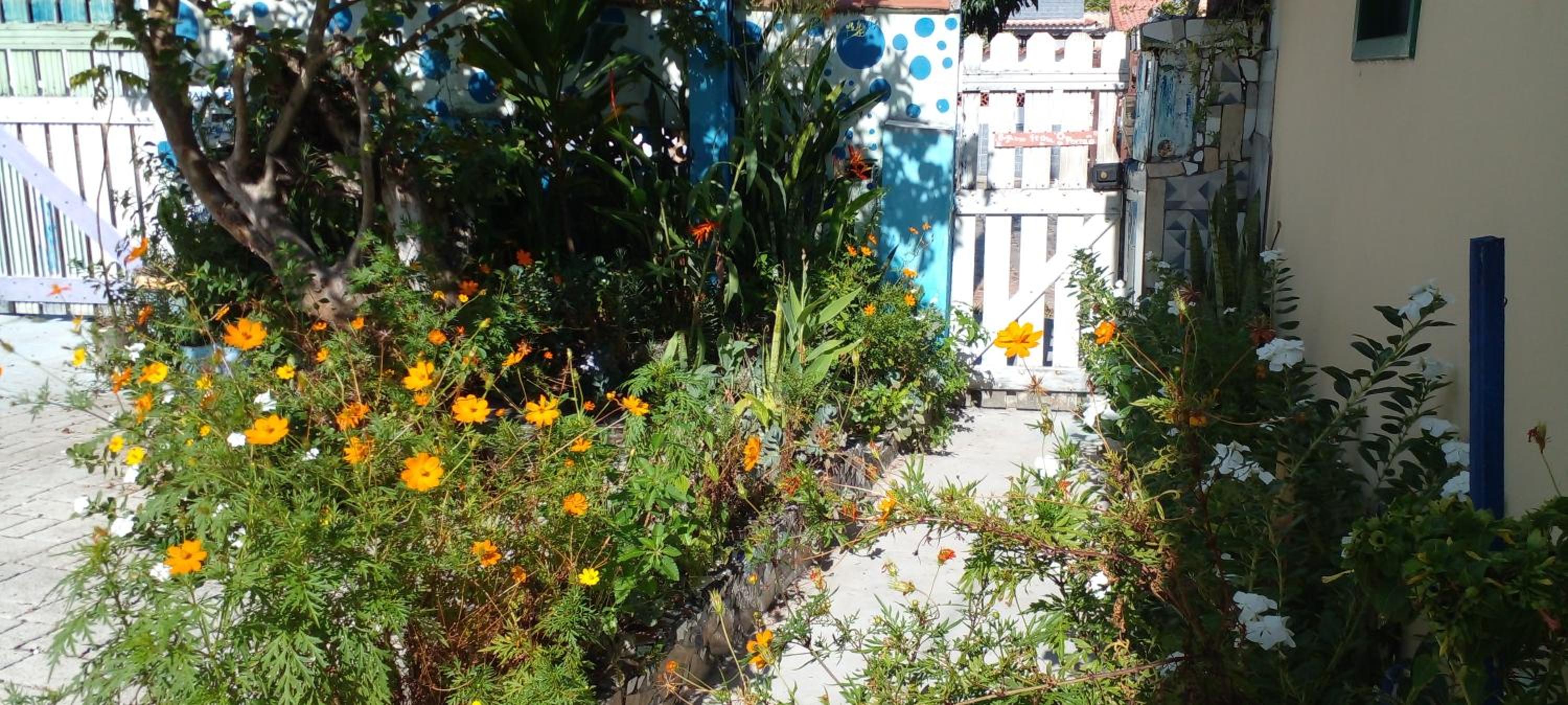 Studio with Garden View photo 3