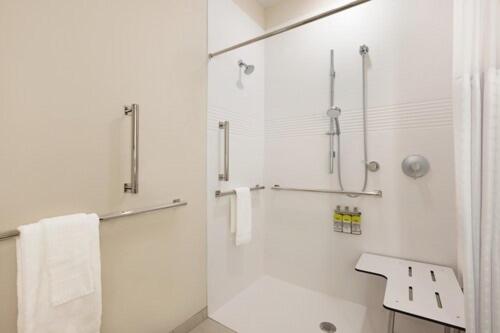 King Studio Suite with Mobility Accessible Transfer Shower - Photo 3