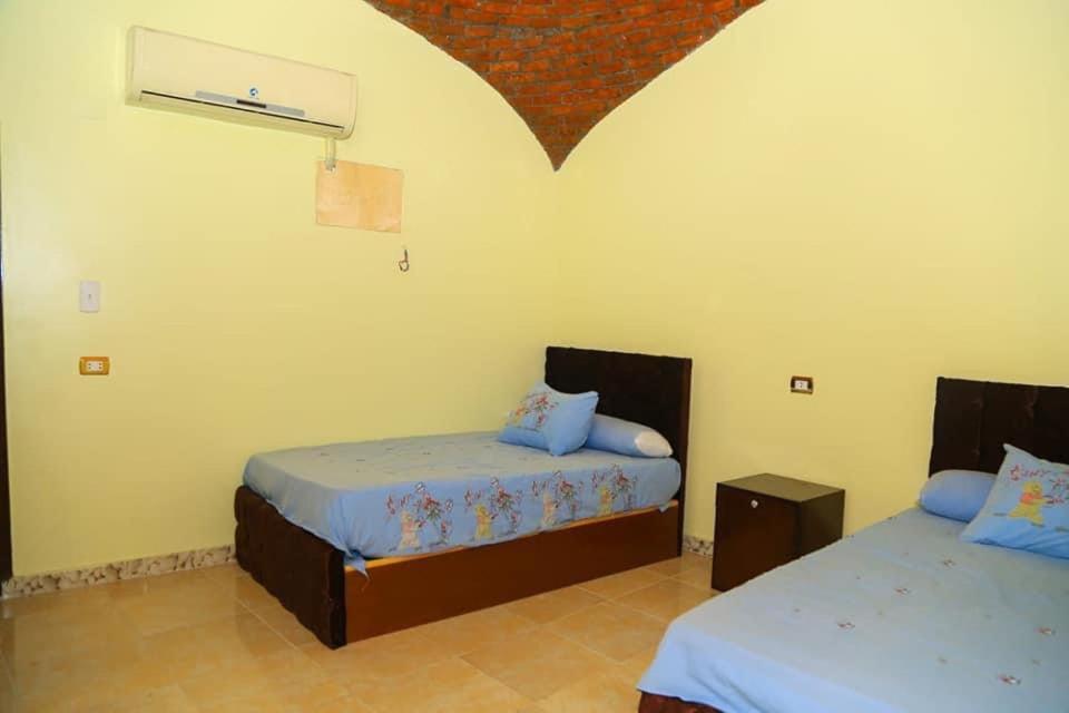 Double Room with Terrace photo 1