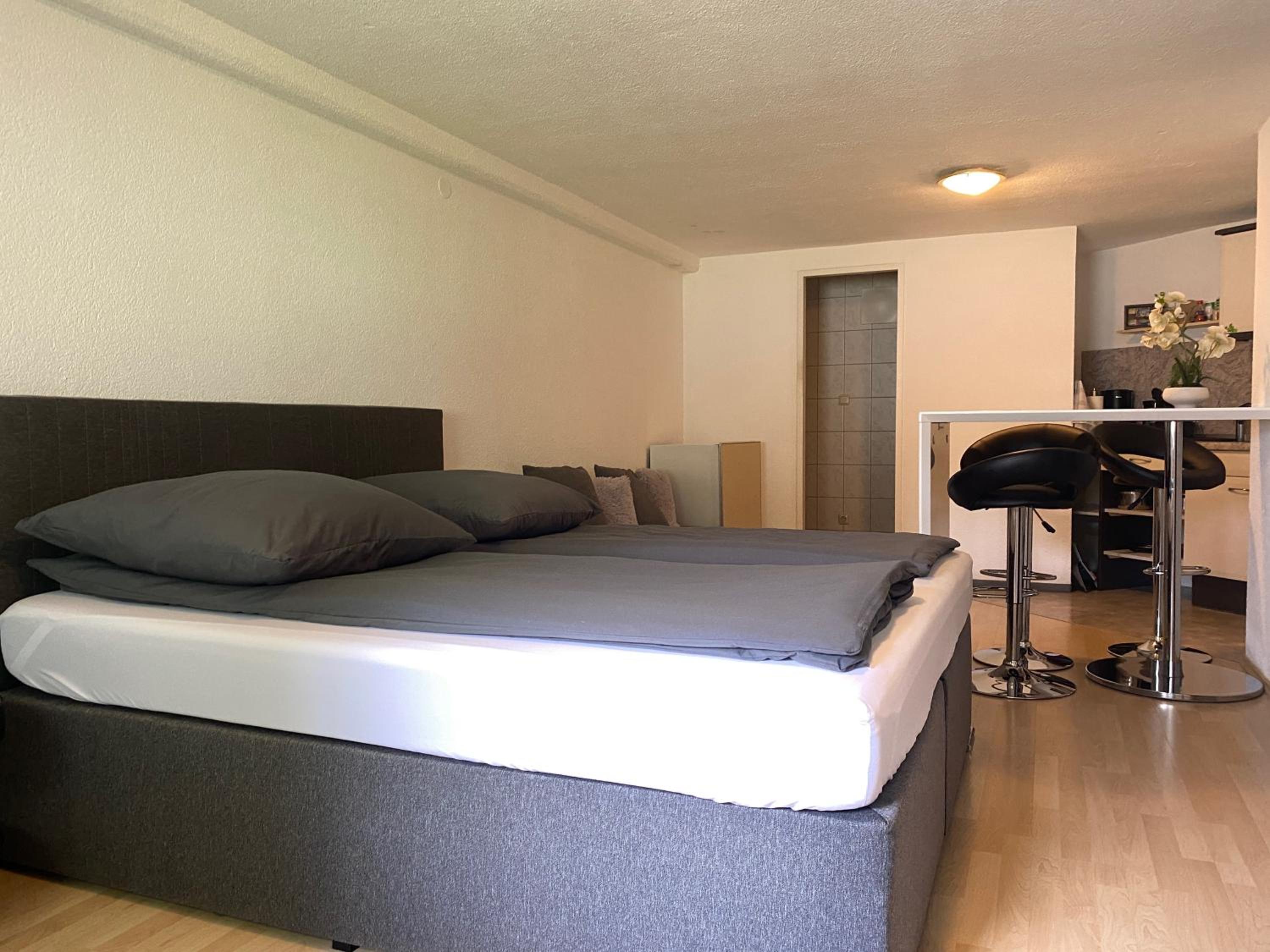 Studio with Sofa Bed photo 1