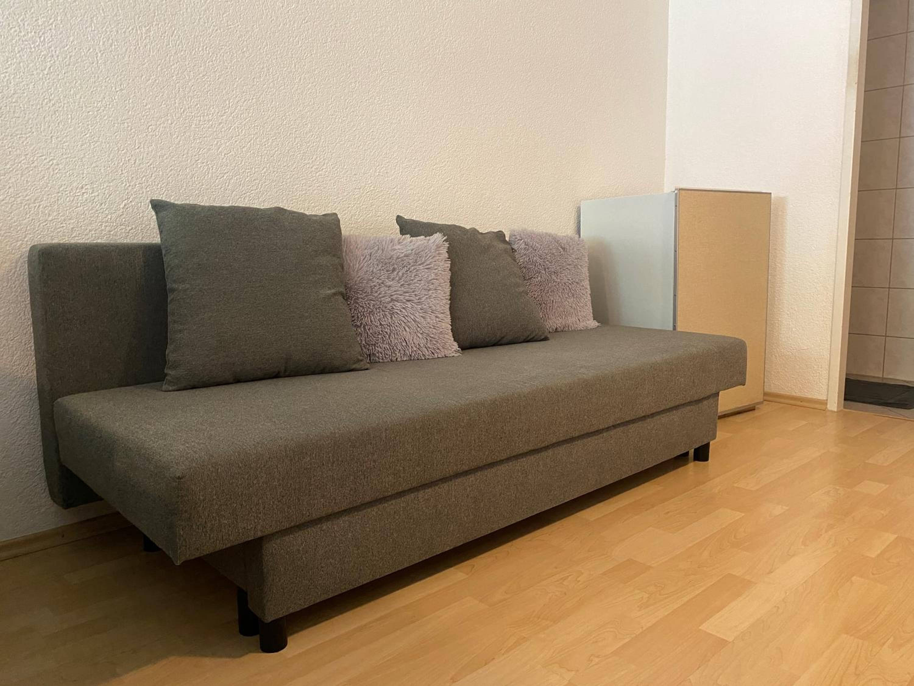 Studio with Sofa Bed photo 3