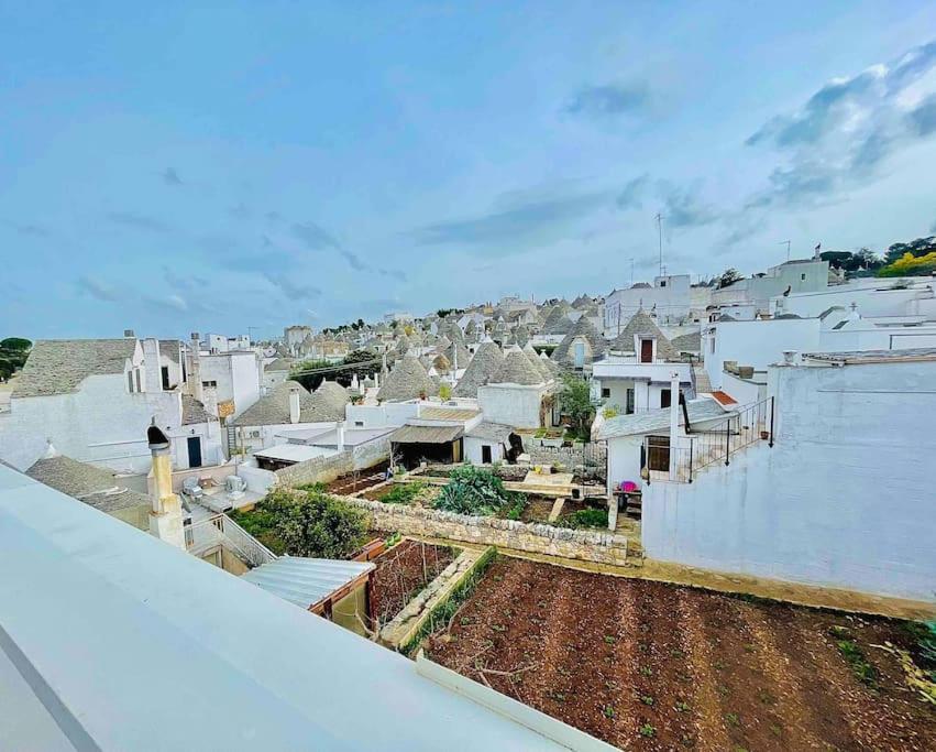 Apartment with Terrace photo 3