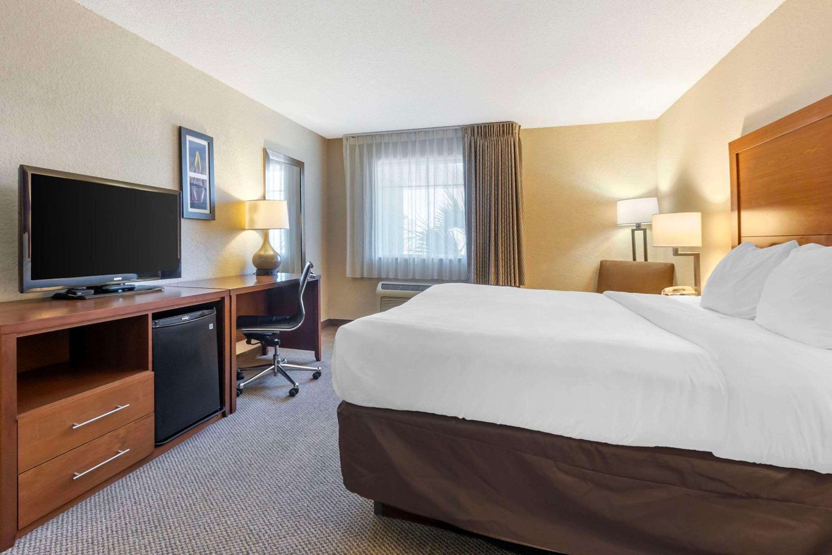Efficiency One Room Suite with Sofa Bed - Non Smoking - Photo 1