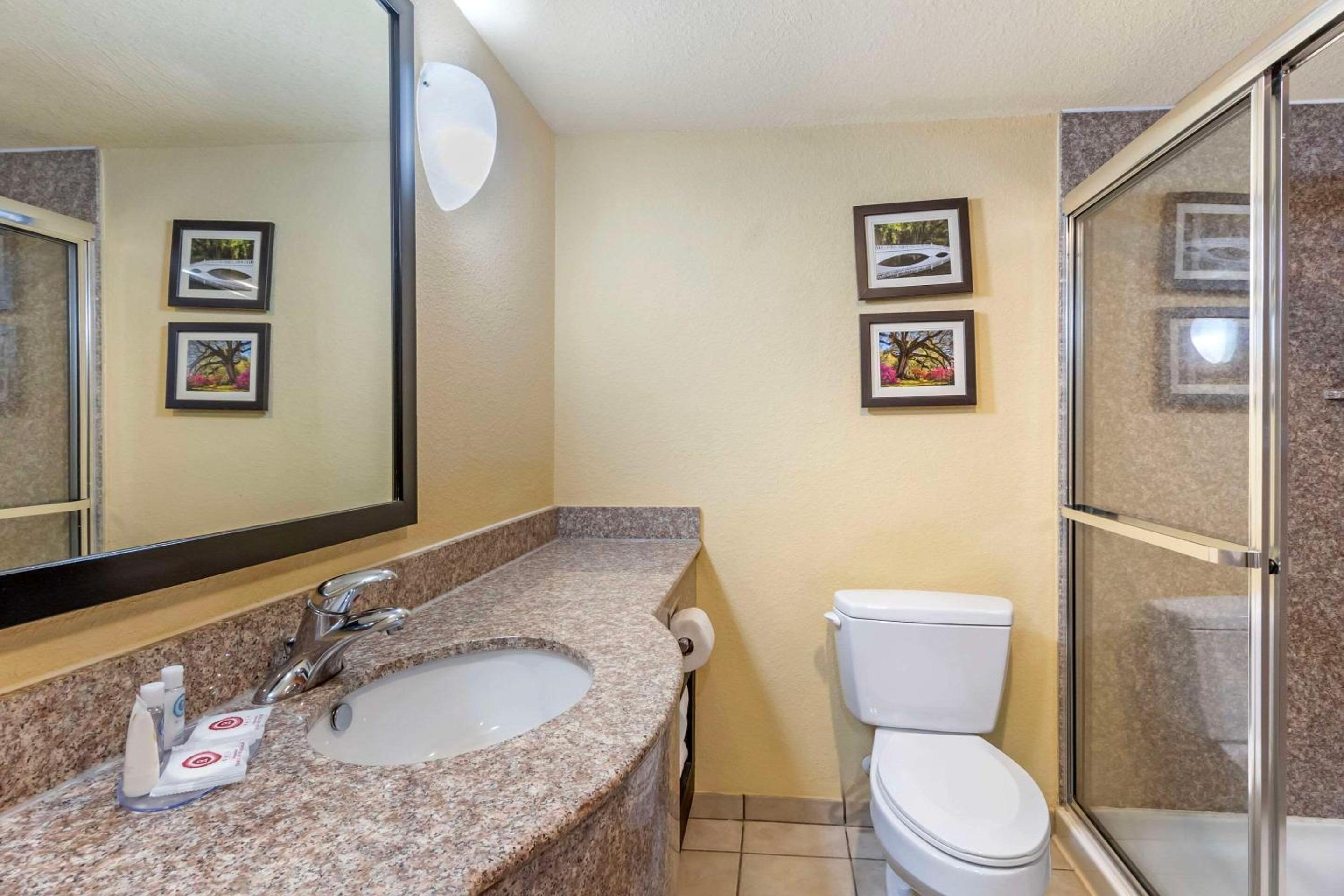 King Suite - Non-Smoking - Photo 4