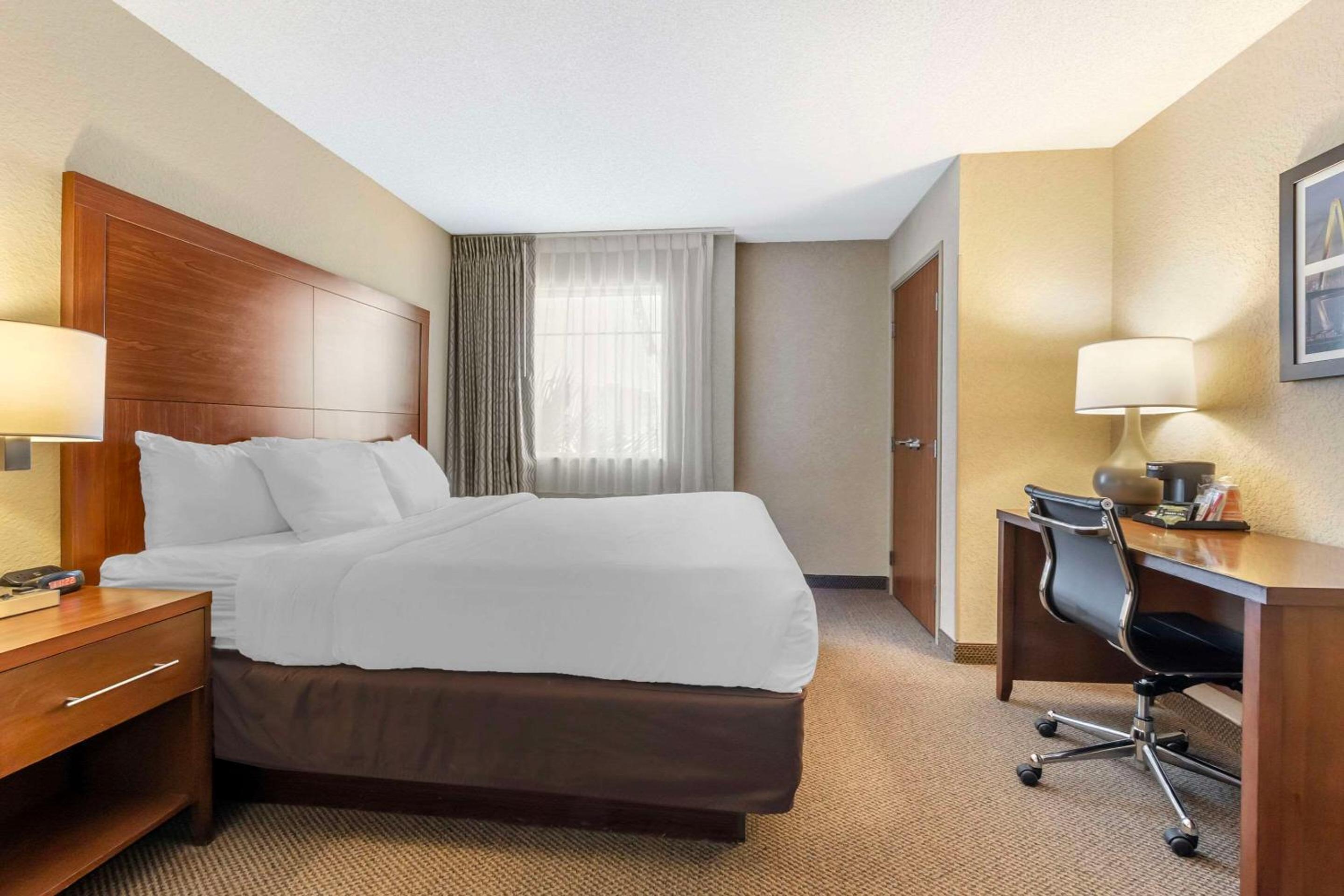King Suite - Non-Smoking - Photo 1