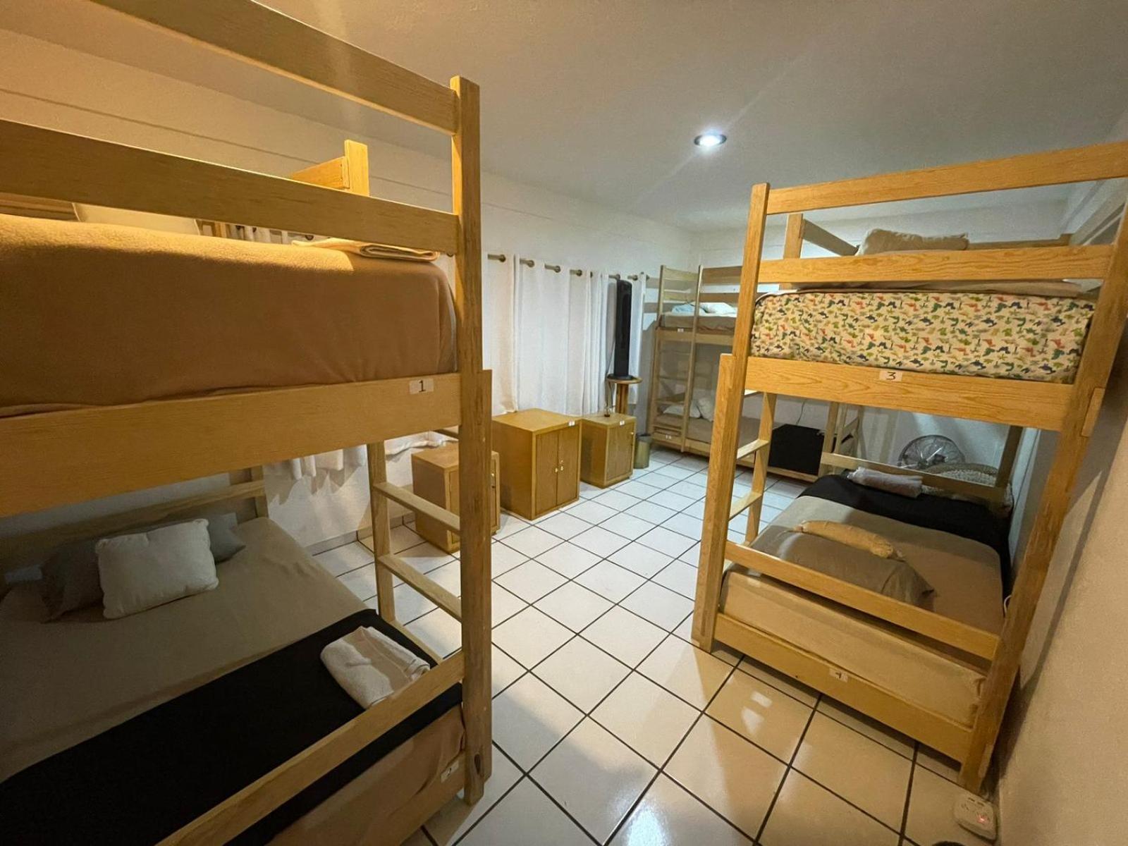 Bunk Bed in Mixed Dormitory Room photo 1
