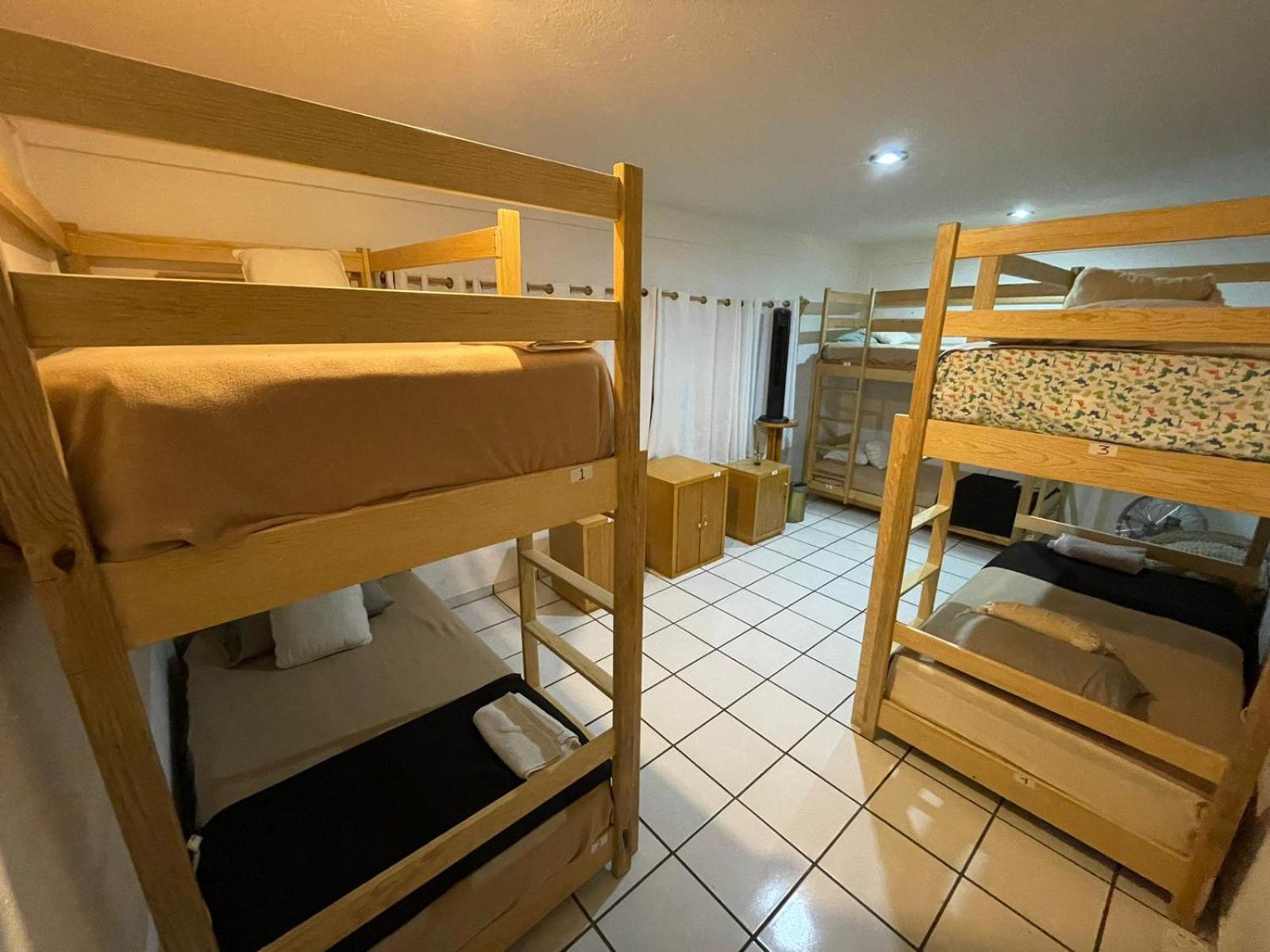 Bunk Bed in Mixed Dormitory Room photo 2