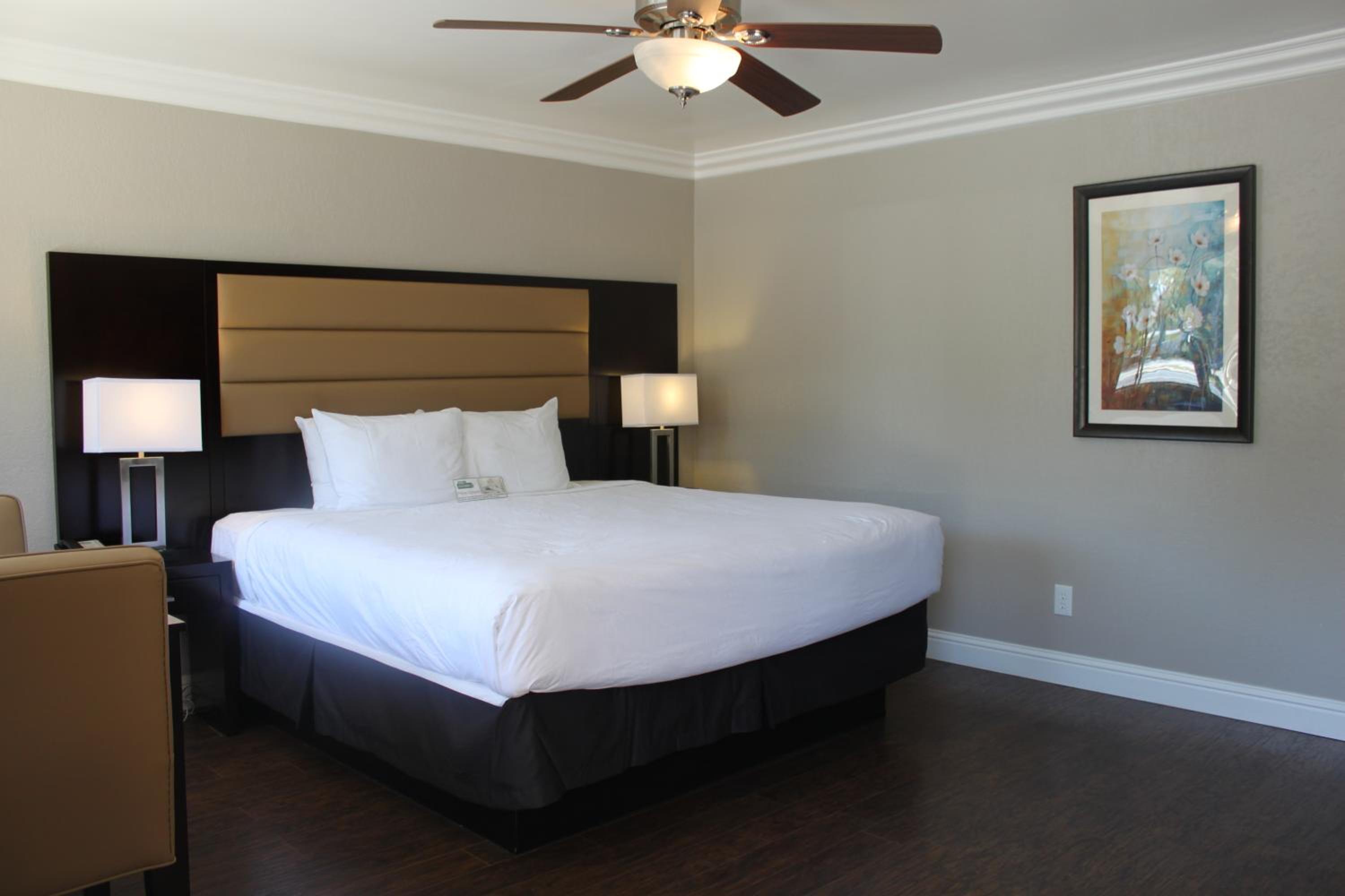 Deluxe King Room