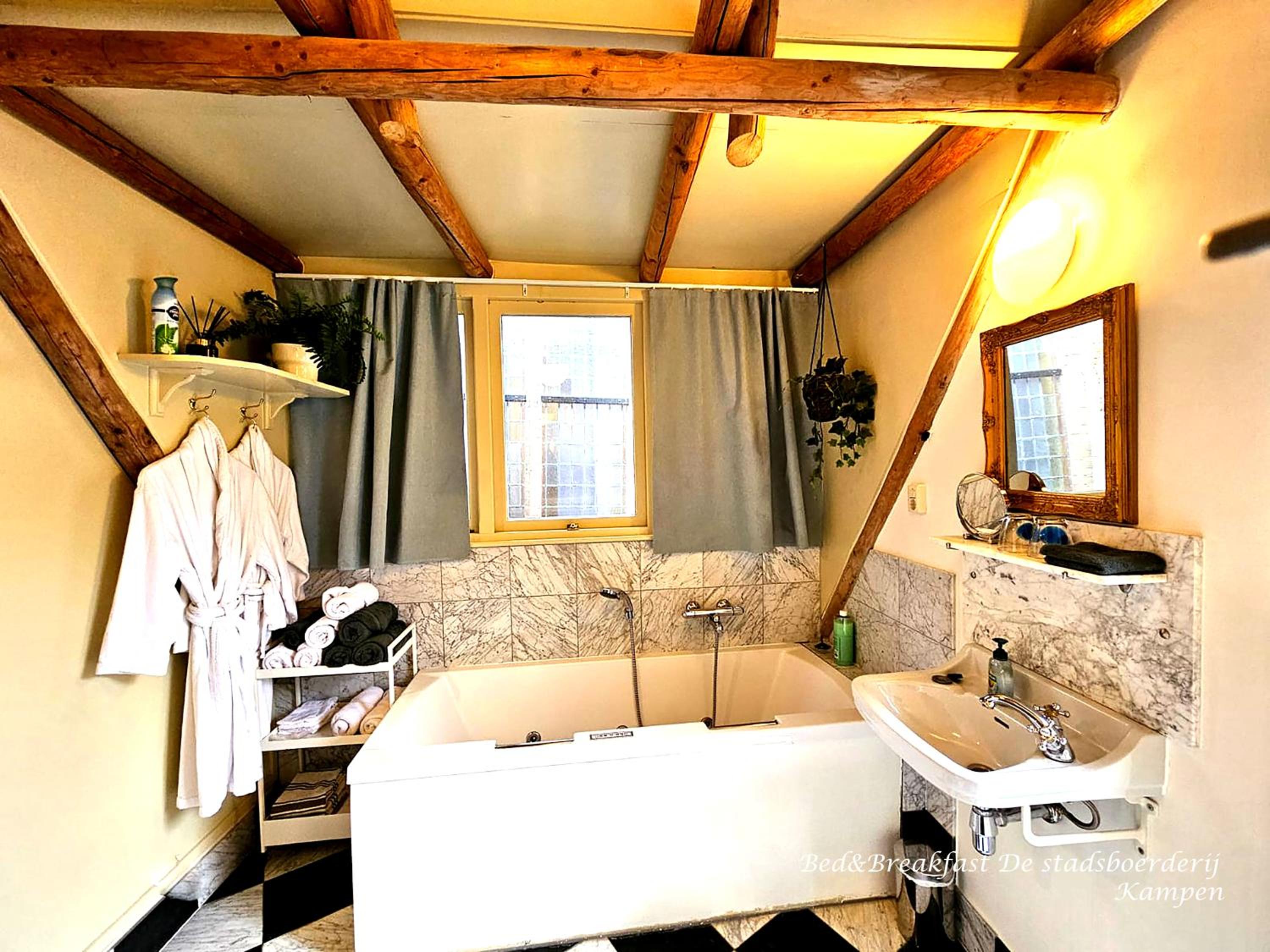 Deluxe Suite with Spa Bath photo 3