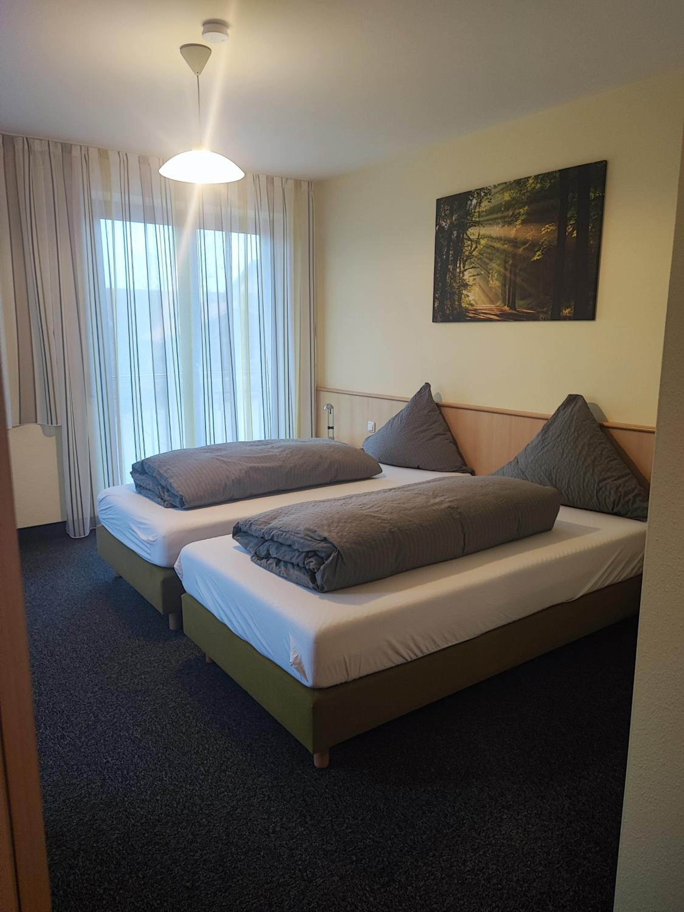 Double or Twin Room photo 3