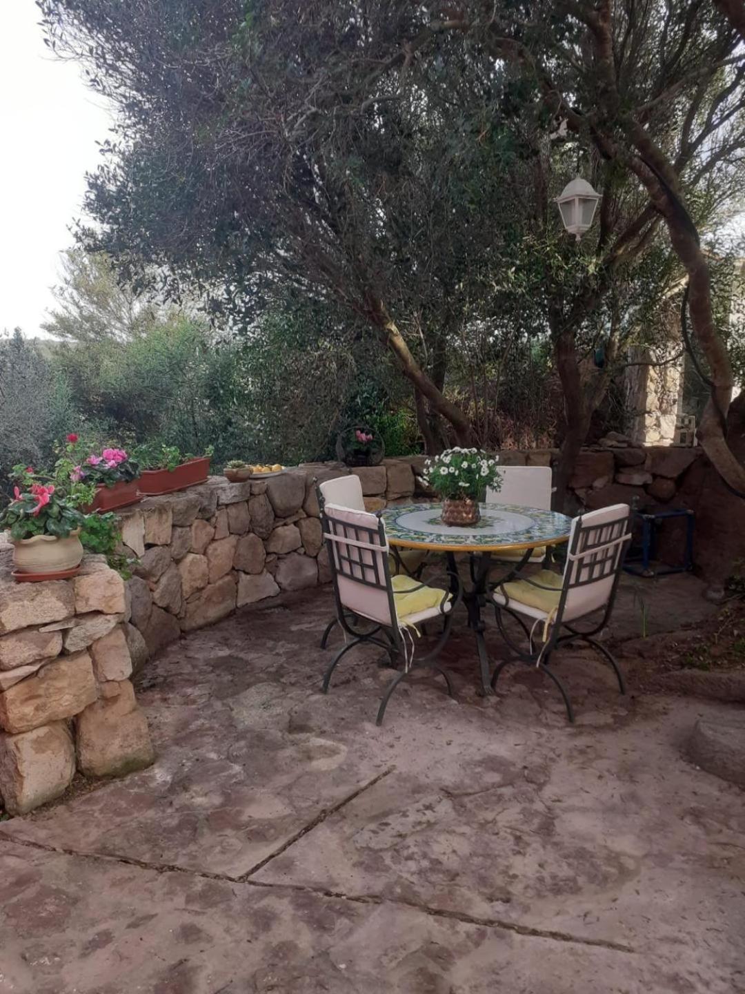 Studio with Garden photo 3
