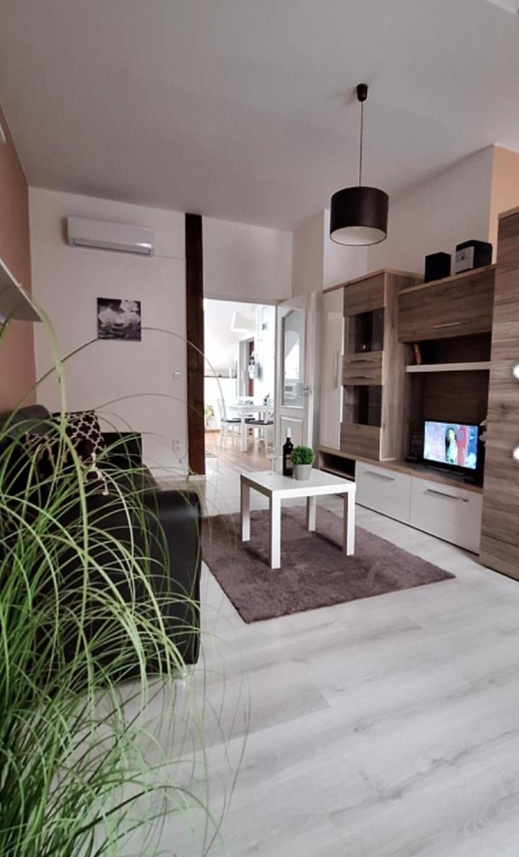 One-Bedroom Apartment - Photo 9