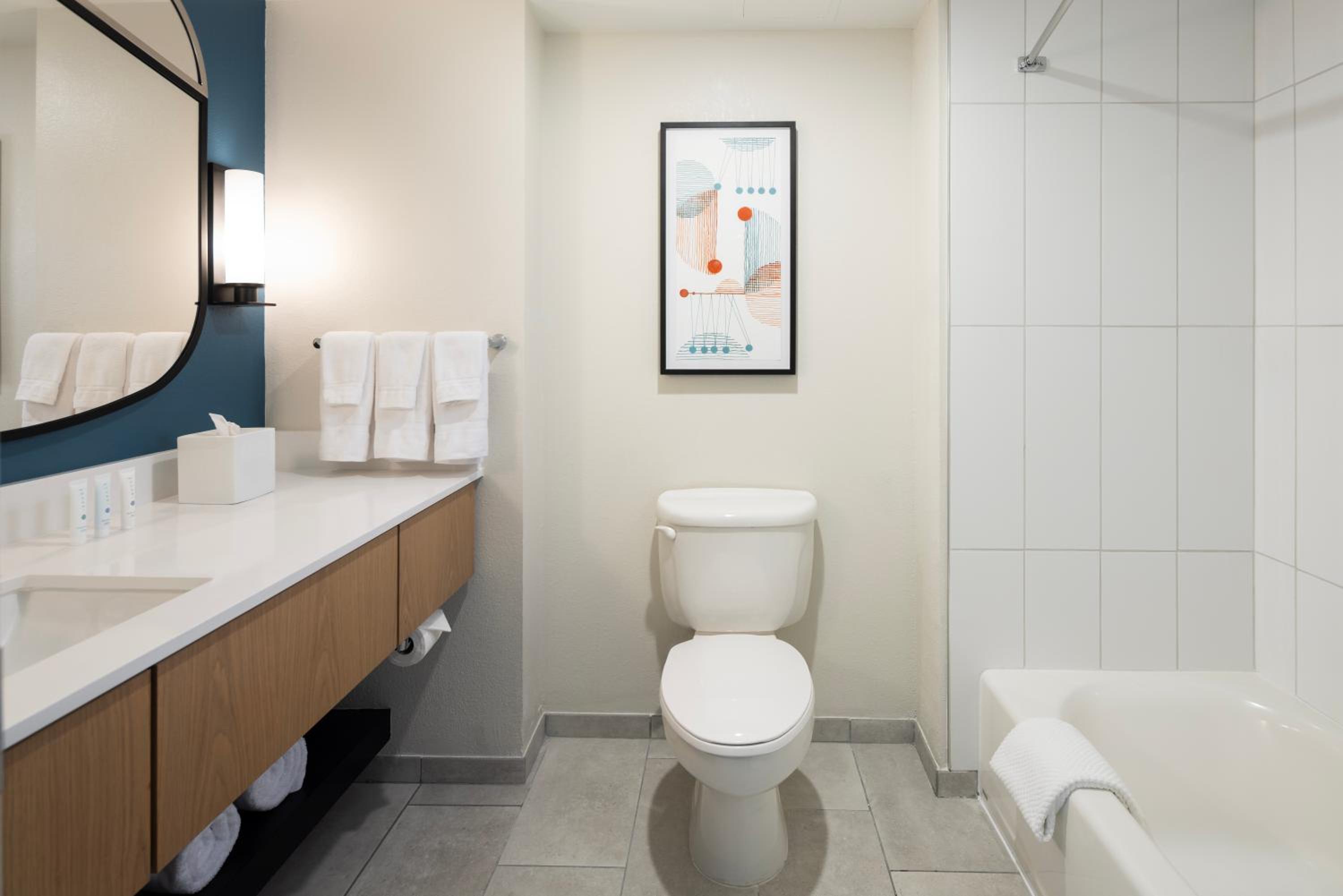 Deluxe King Room with Mobility Accessible Roll-In Shower and Skyline View