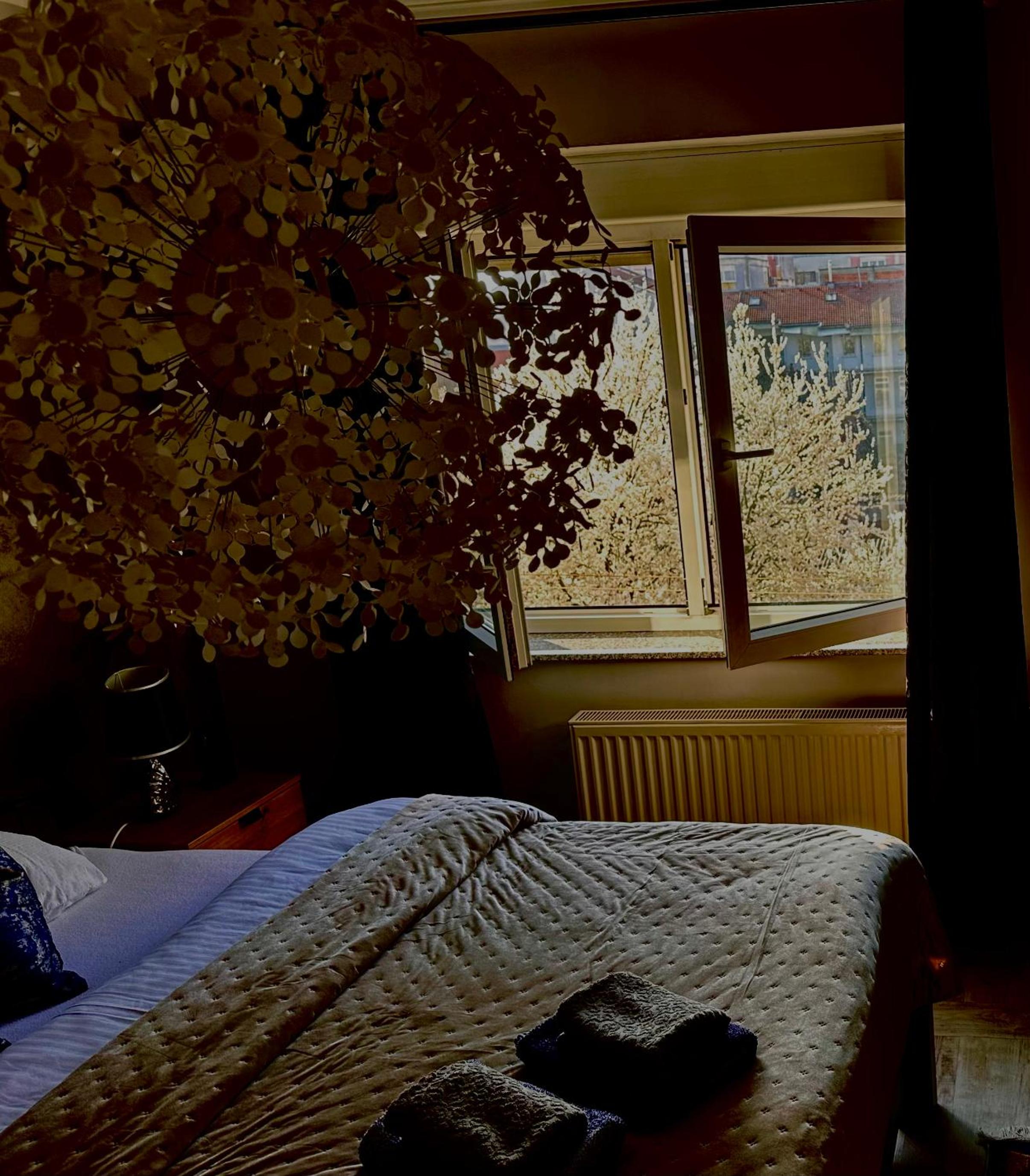 One-Bedroom Apartment - Photo 84