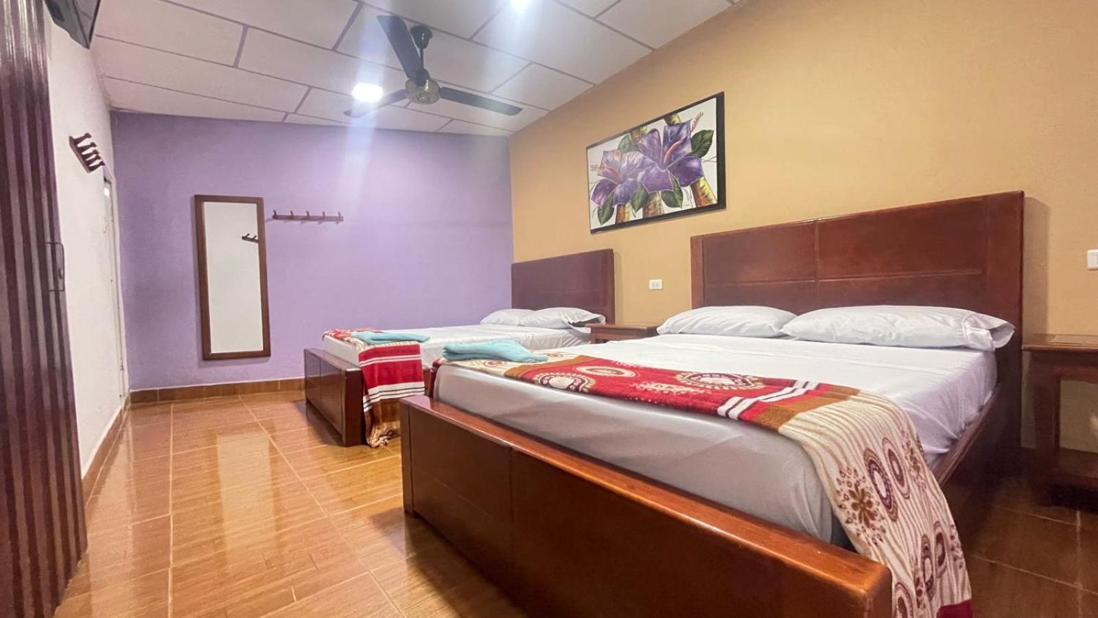 Twin Room photo 2