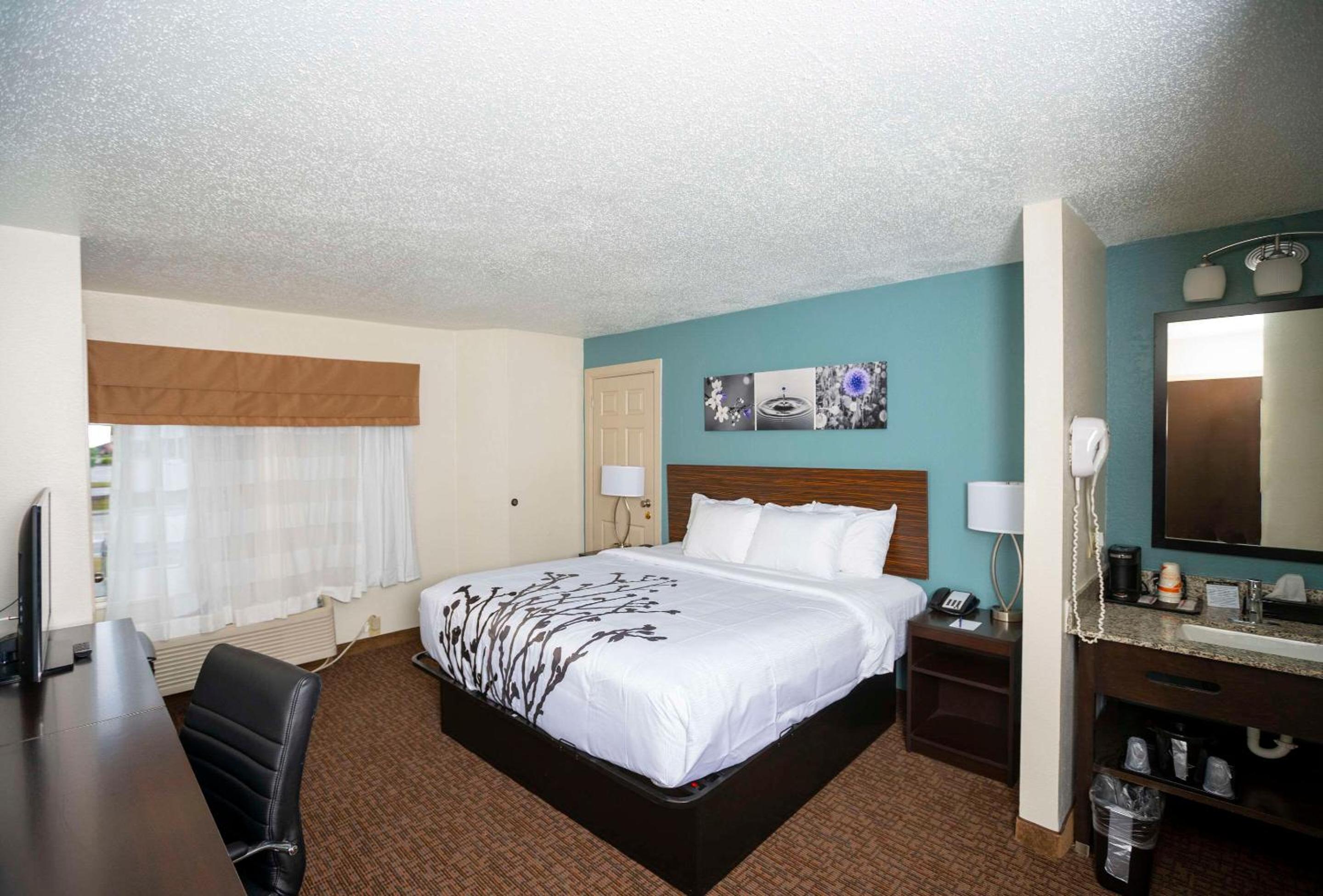 King Room - Non-Smoking - Photo 4