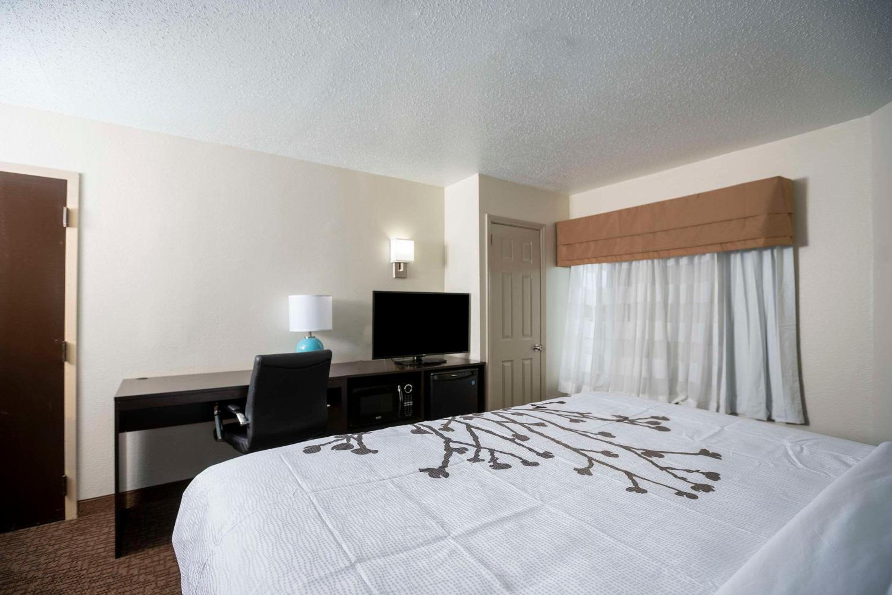 King Room - Non-Smoking - Photo 3
