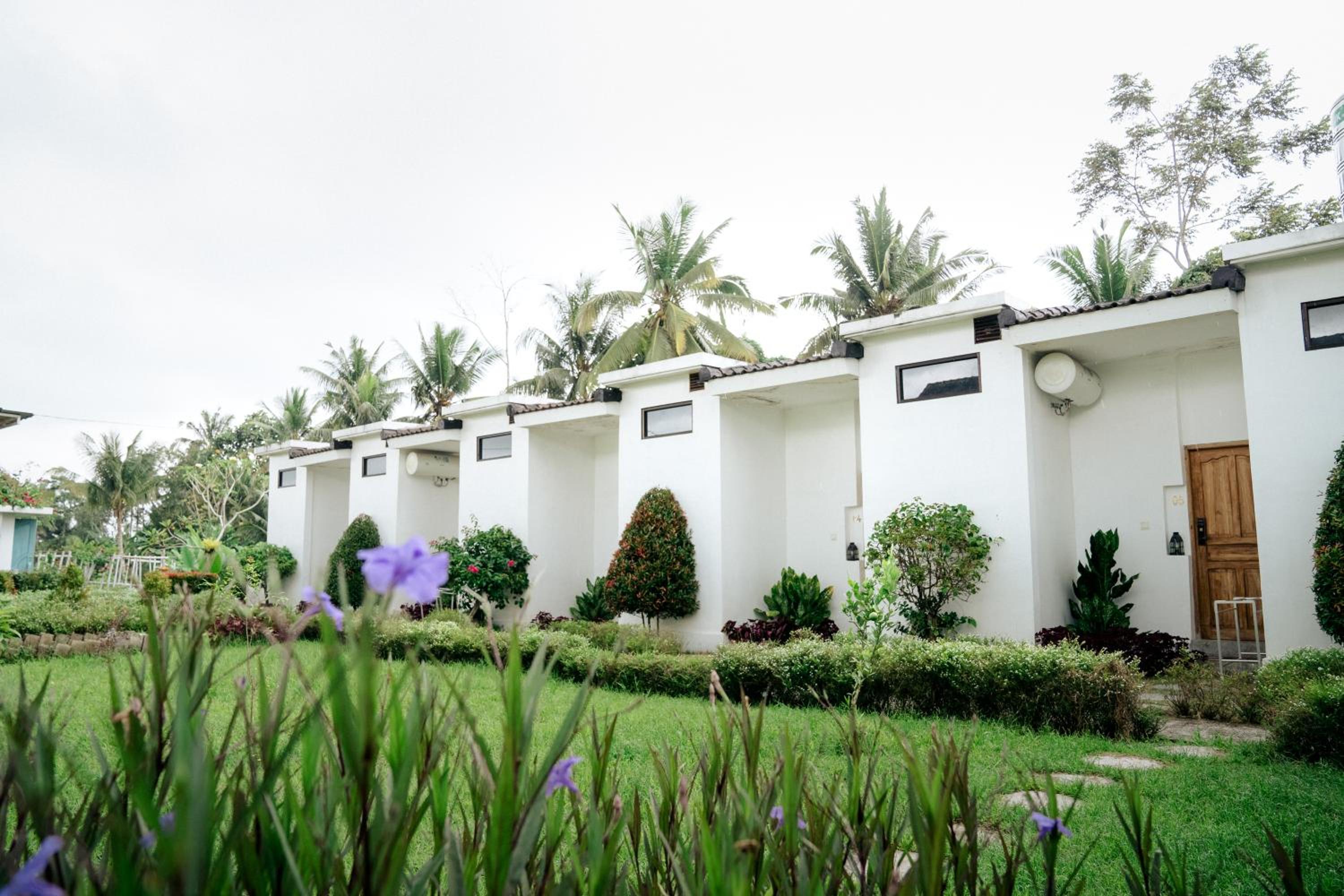 Double Room with Terrace - Photo 2