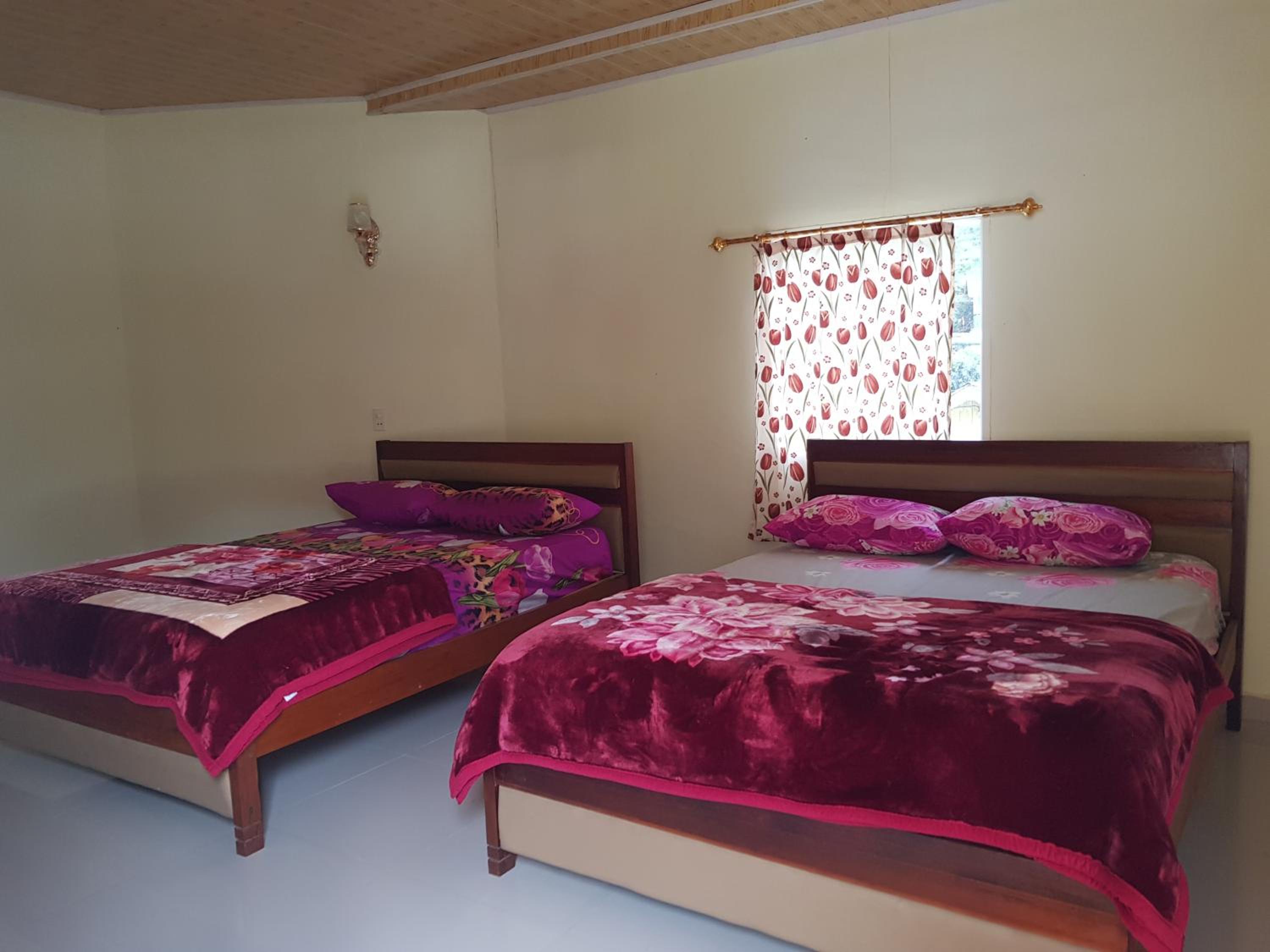 Family Suite photo 1