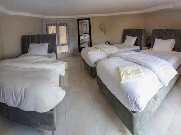 Triple Room photo 3