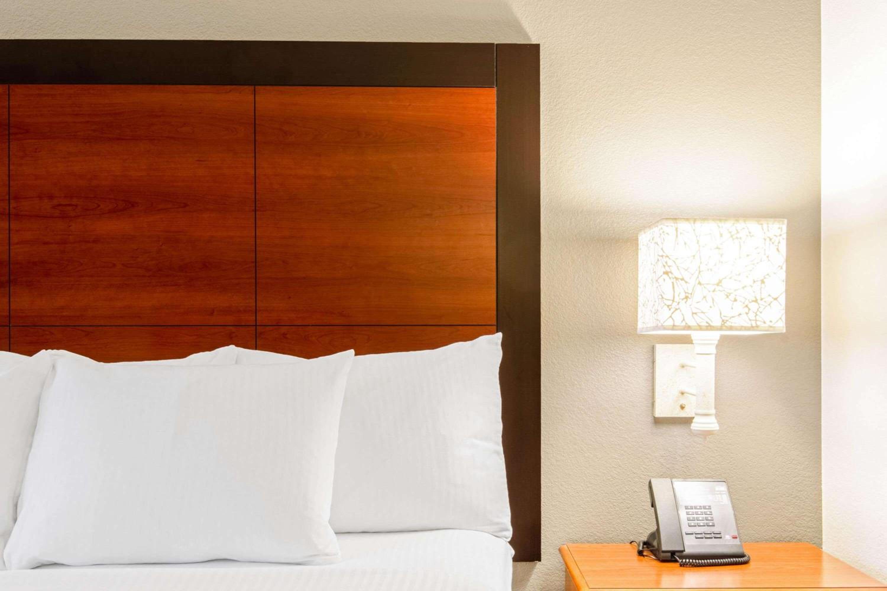 Deluxe King Room with Sofa Bed photo 2