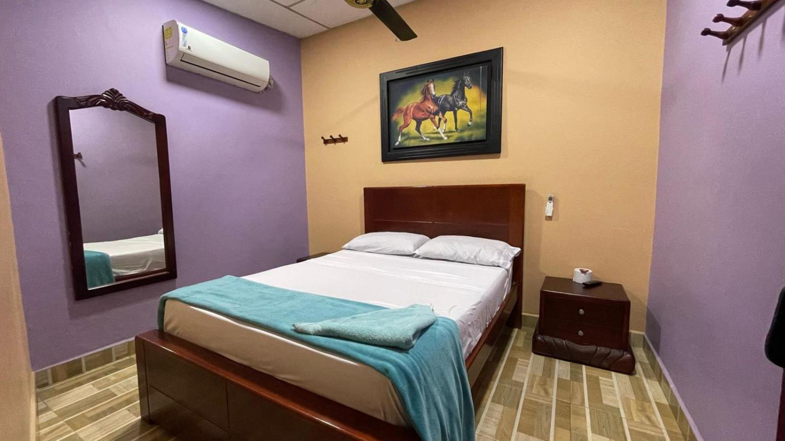 Single Room photo 2