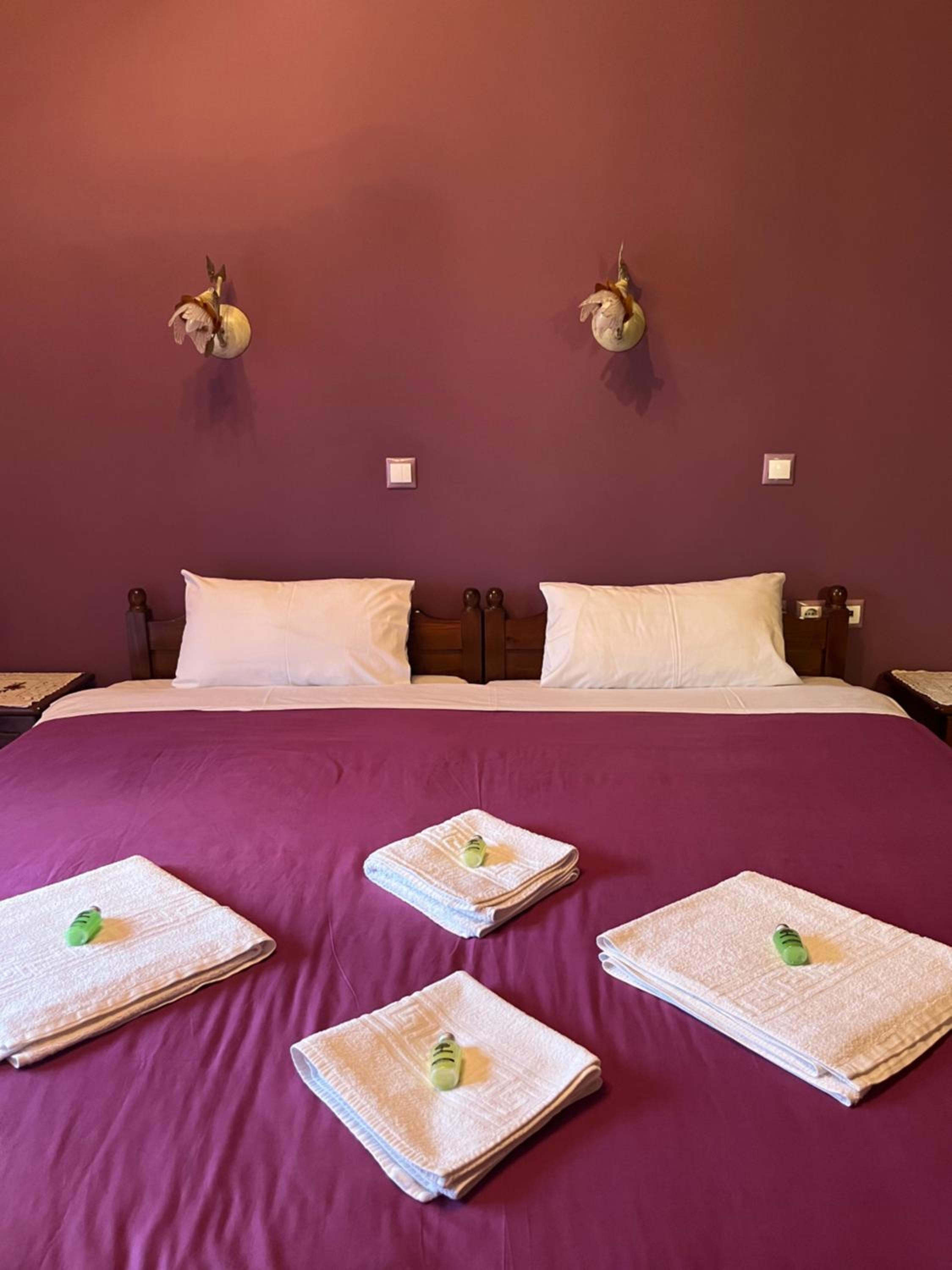 Double or Twin Room with Mountain View photo 3