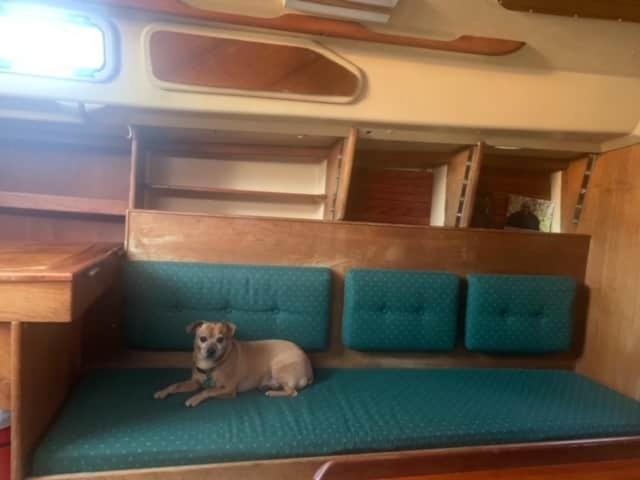 Mobile Home photo 2