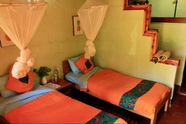 Twin Room with Private Bathroom photo 1